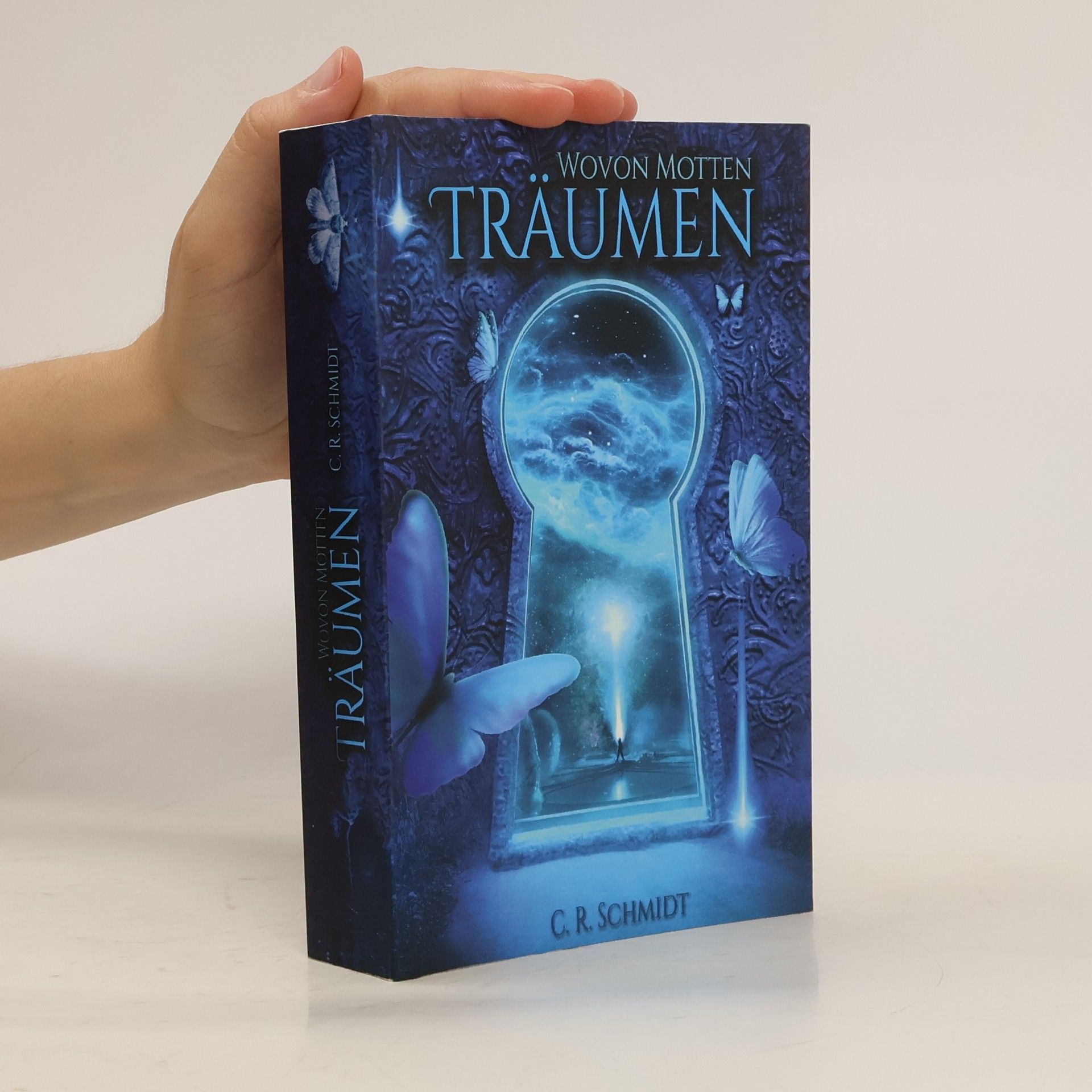 C. R. Schmidt Wovon Motten träumen