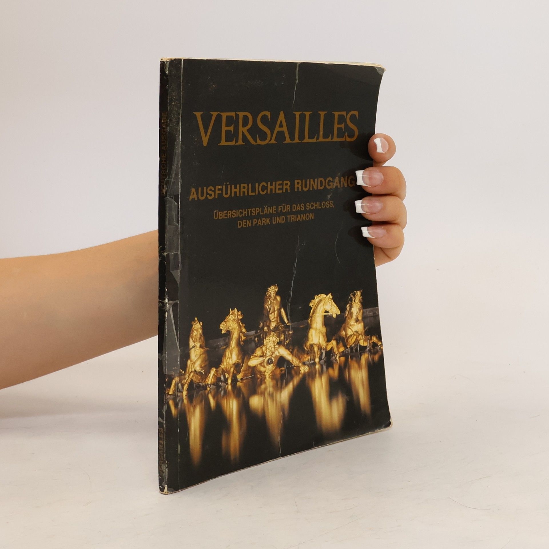 Simone Hoog Versailles