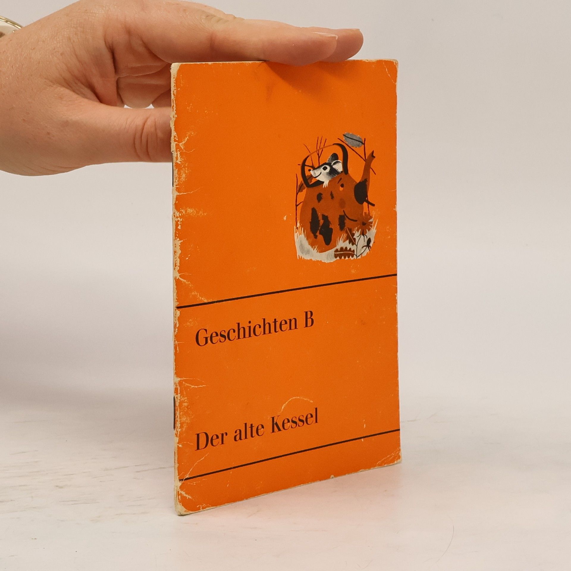 Geschichten B. Der alte Kessel