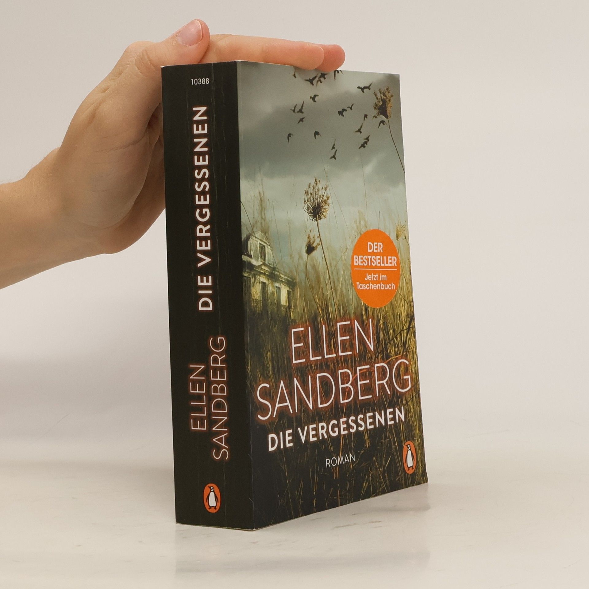 Ellen Sandberg Die Vergessenen