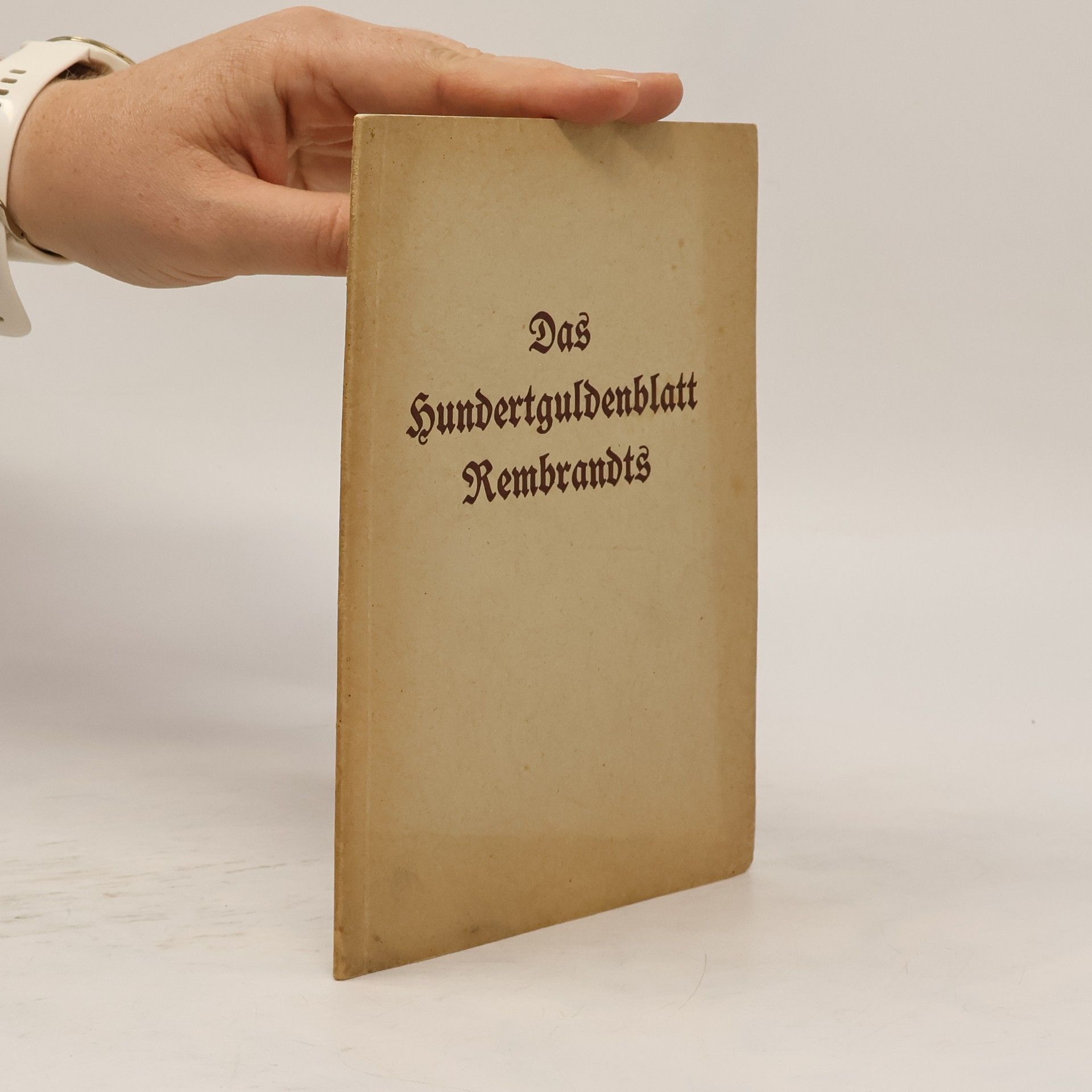 Das Hundertguldenblatt Rembrandts