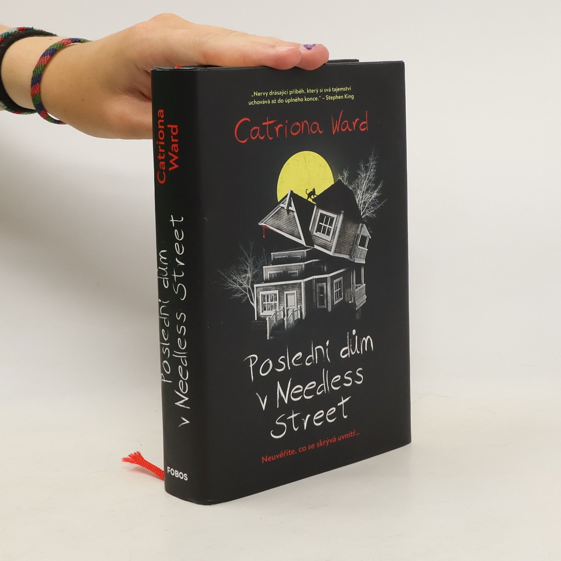 Catriona Ward Poslední dům v Needless Street