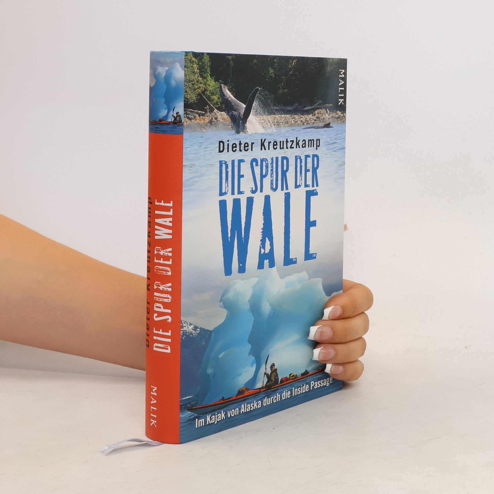 Dieter Kreutzkamp Die Spur der Wale