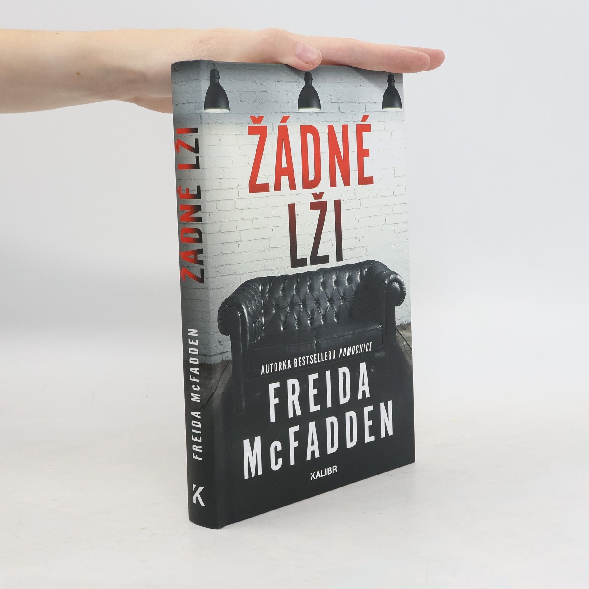 Freida McFadden Žádné lži