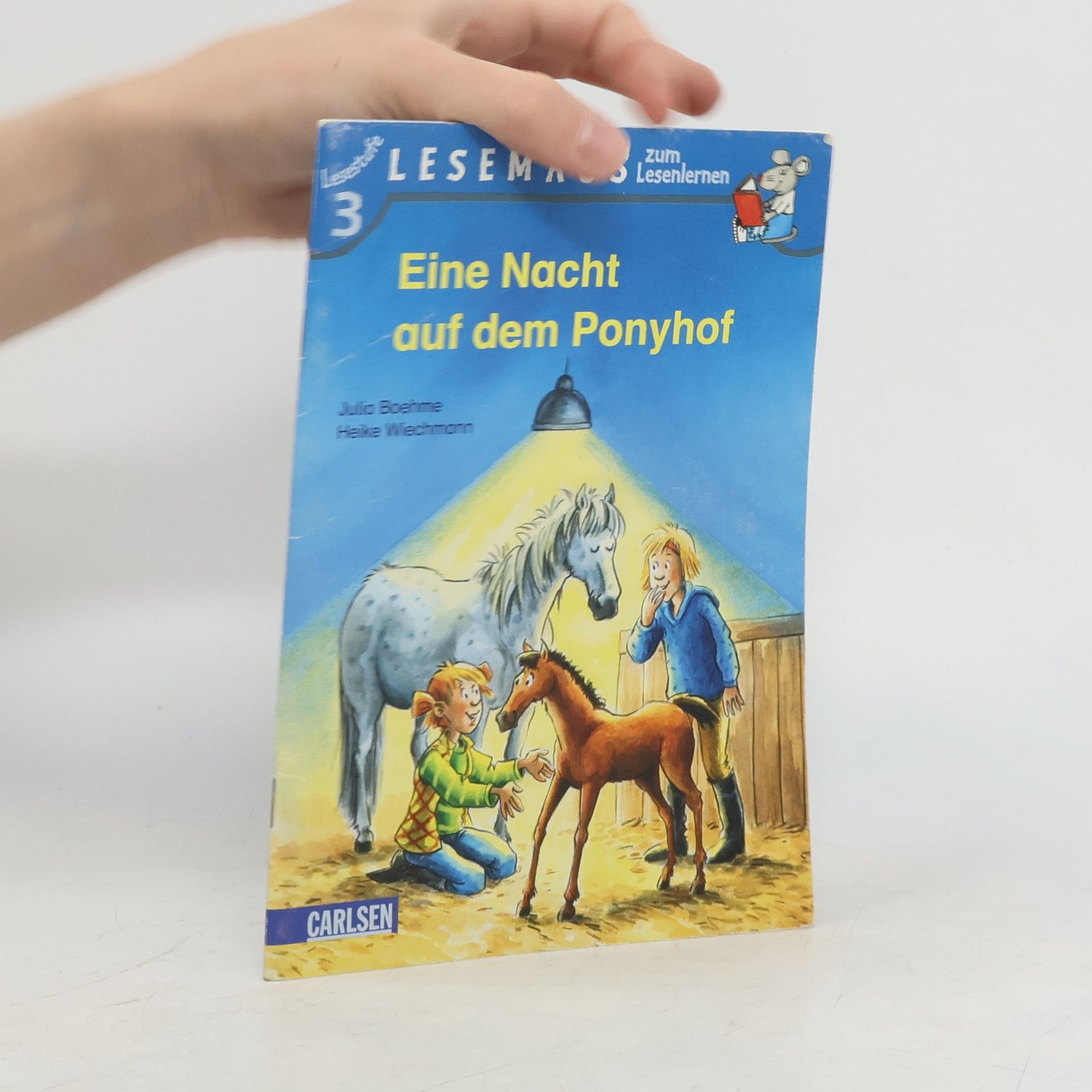 Julia Boehme Eine Nacht auf dem Ponyhof