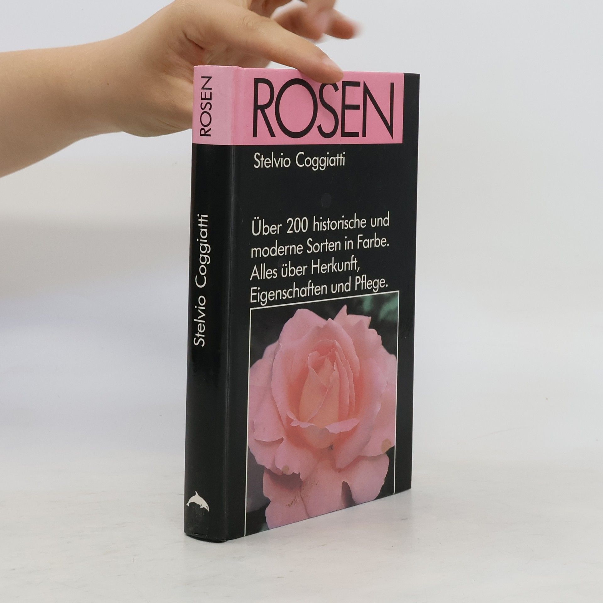 Stelvio Coggiatti Rosen