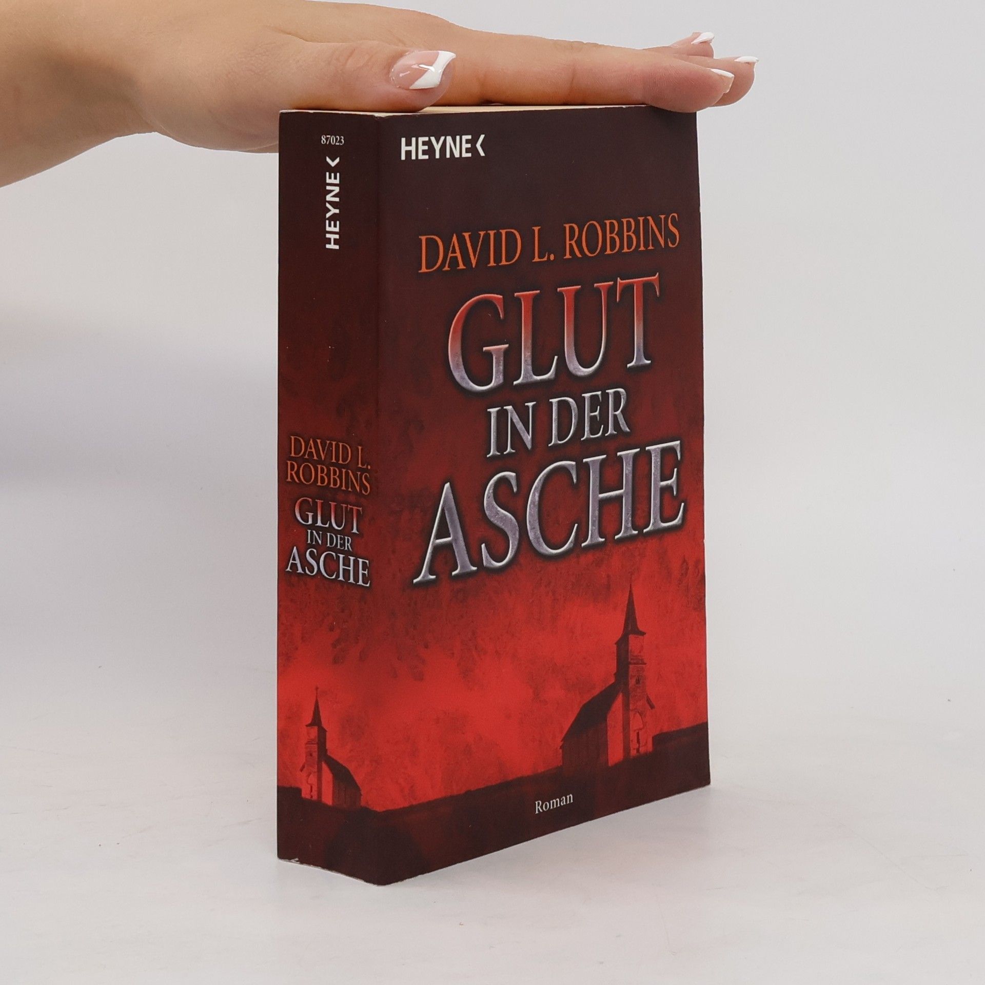 David L. Robbins Glut in der Asche. Roman