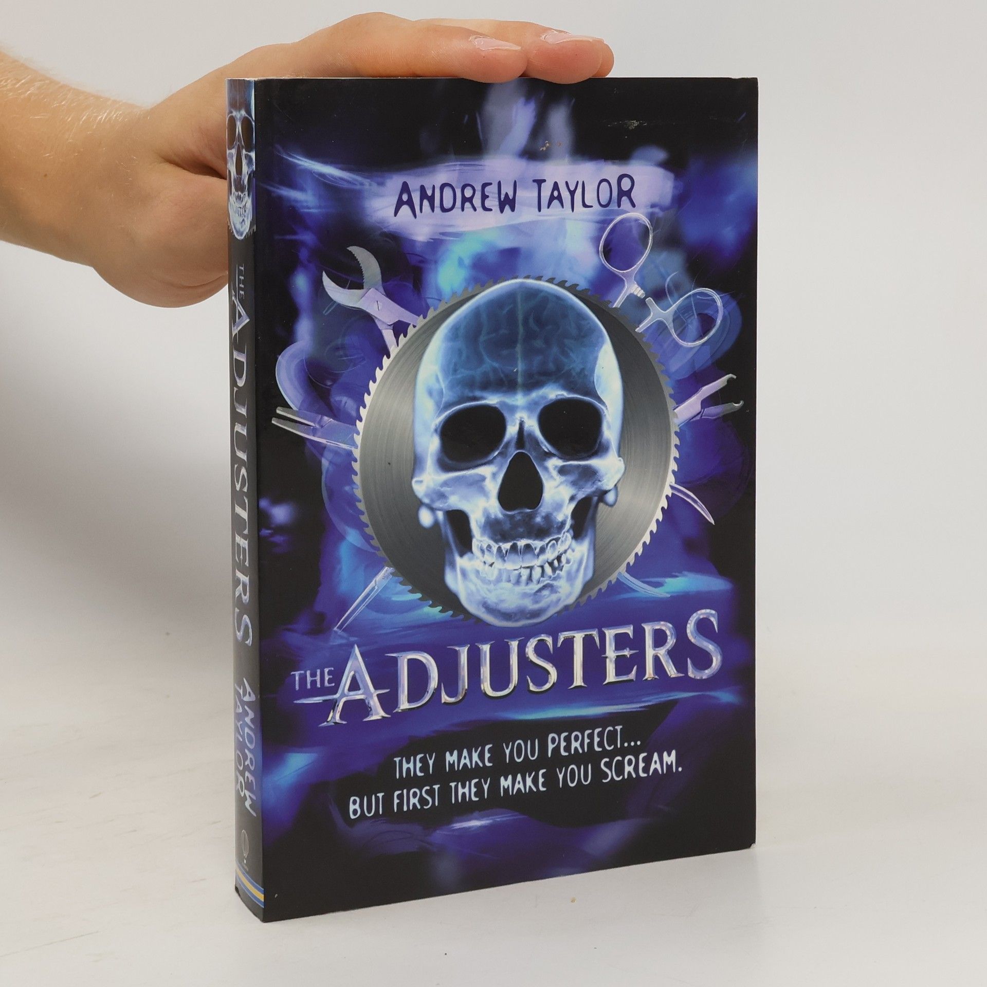 John Robert Taylor The Adjusters