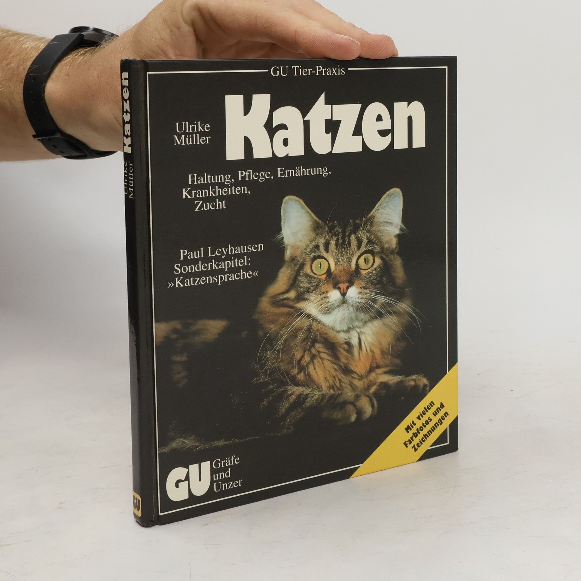 Ulrike Müller Katzen