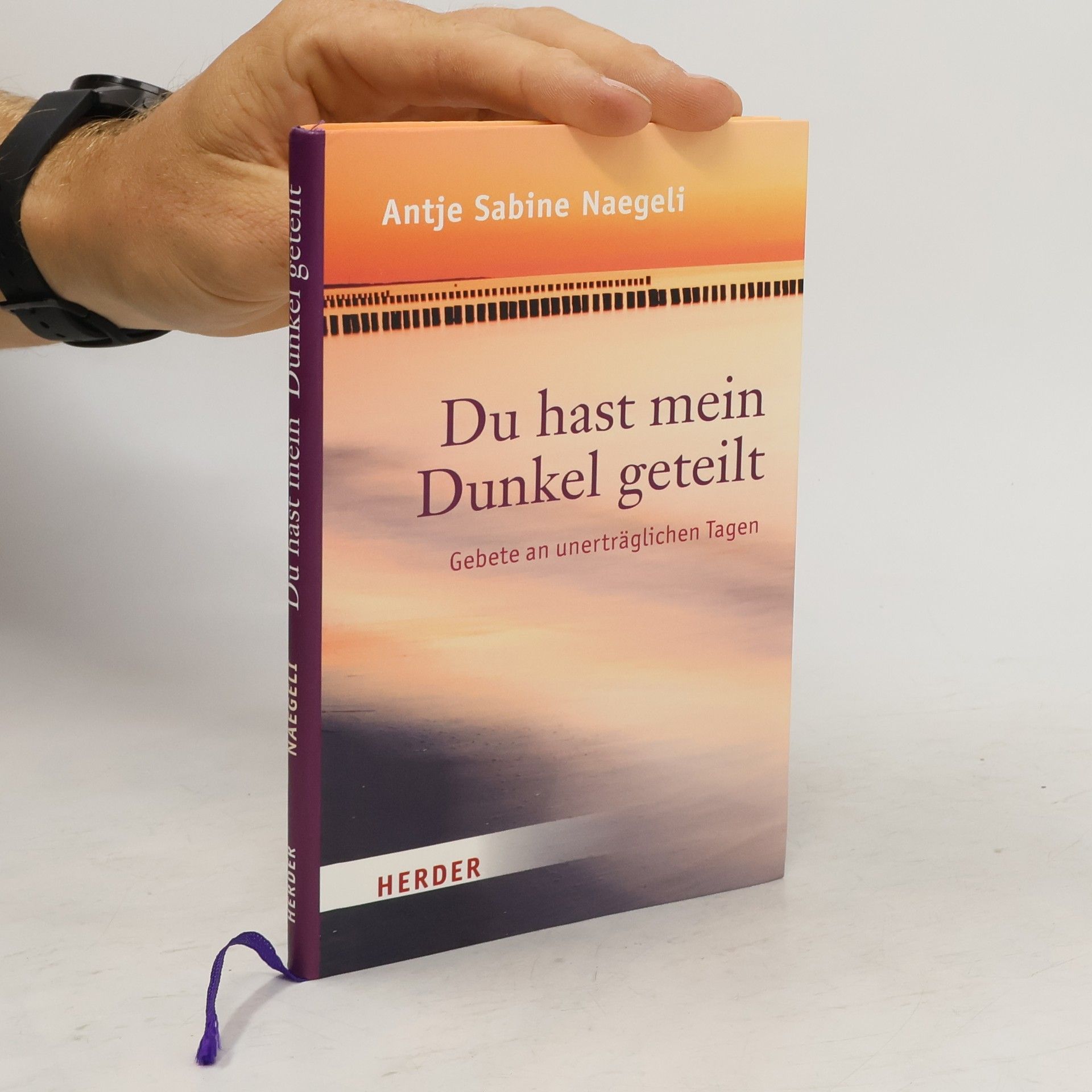 Antje Sabine Naegeli Du hast mein Dunkel geteilt