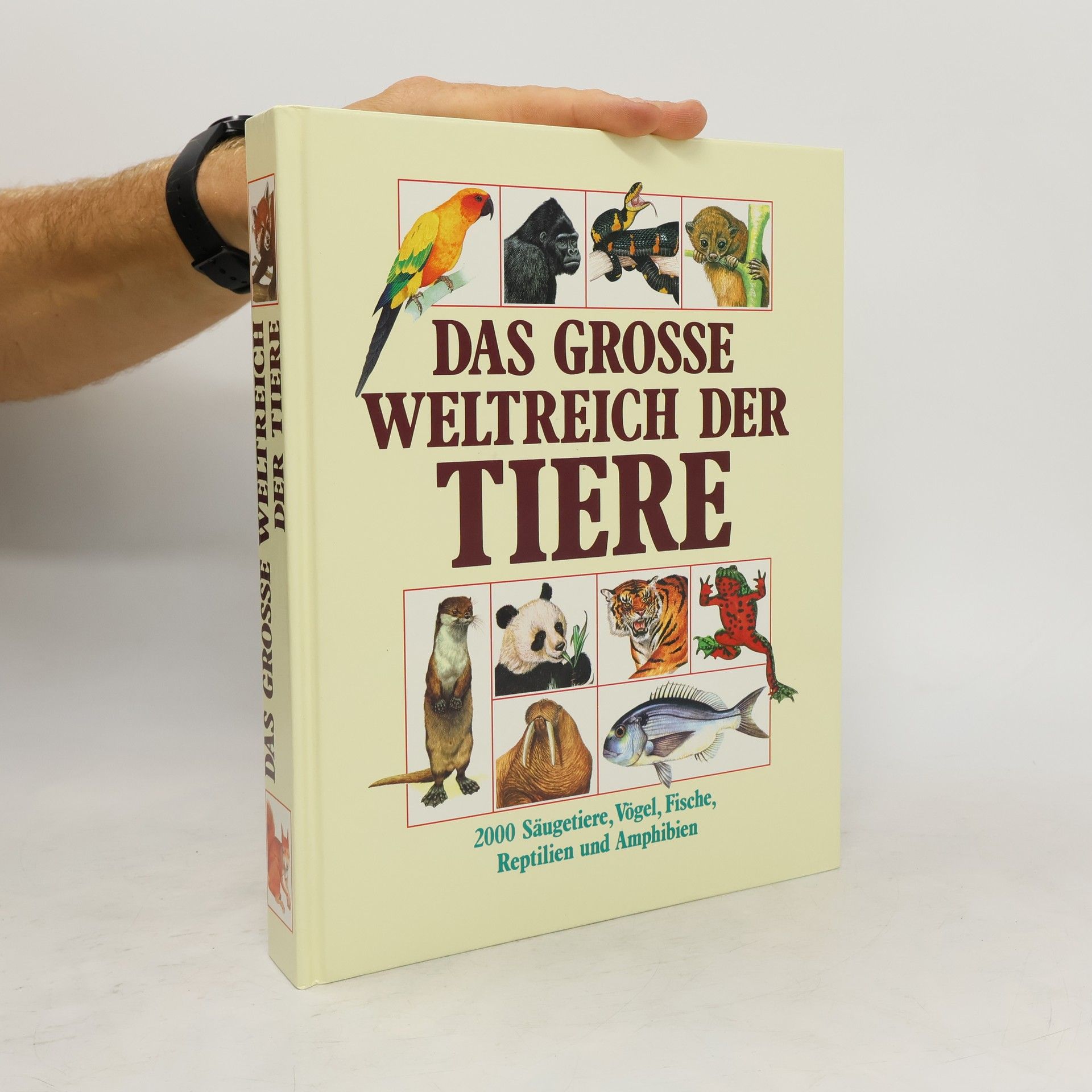 Philip Whitfield Das grosse Weltreich der Tiere
