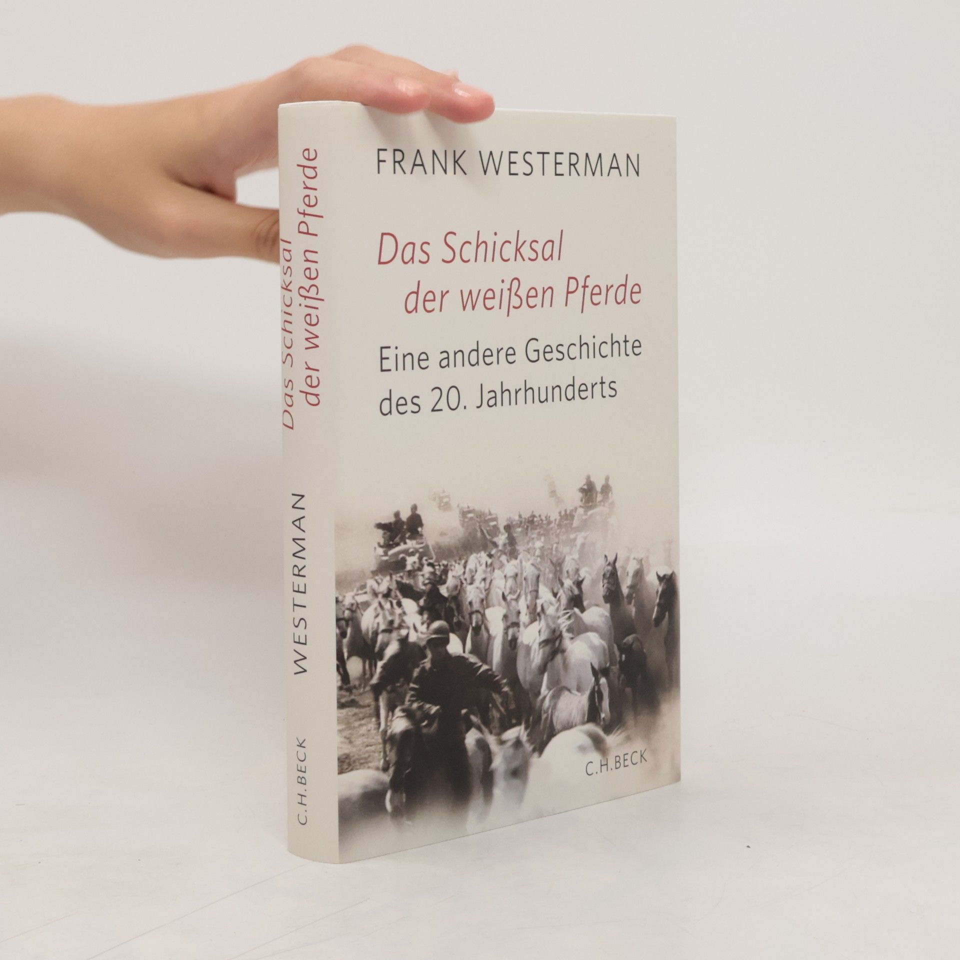 Frank Westerman Das Schicksal der weißen Pferde