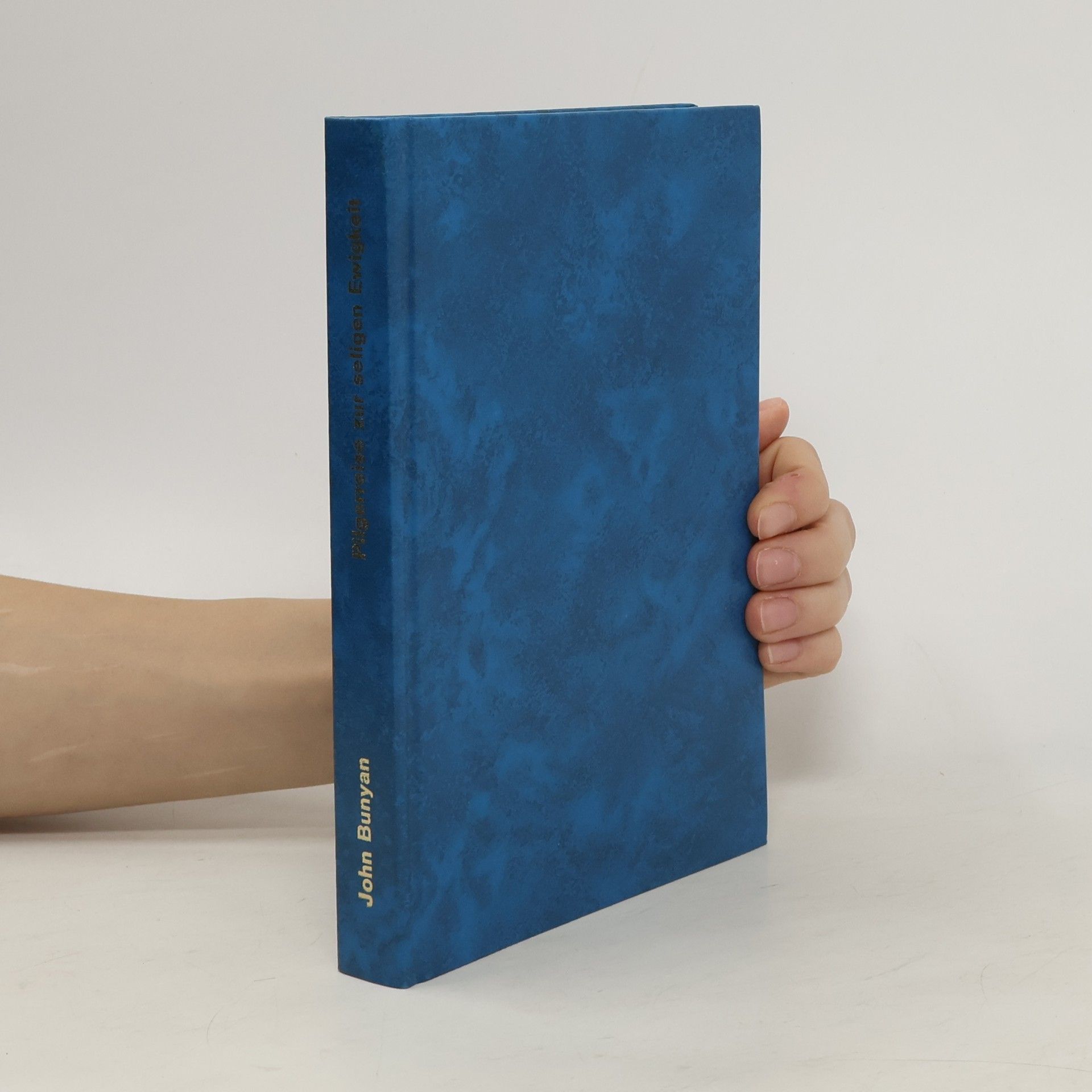 John Bunyan Pilgerreise zur seligen Ewigkeit