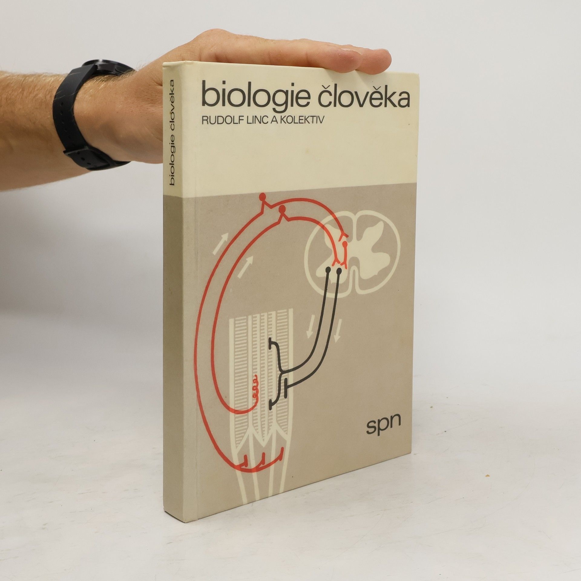 Rudolf Linc Biologie člověka