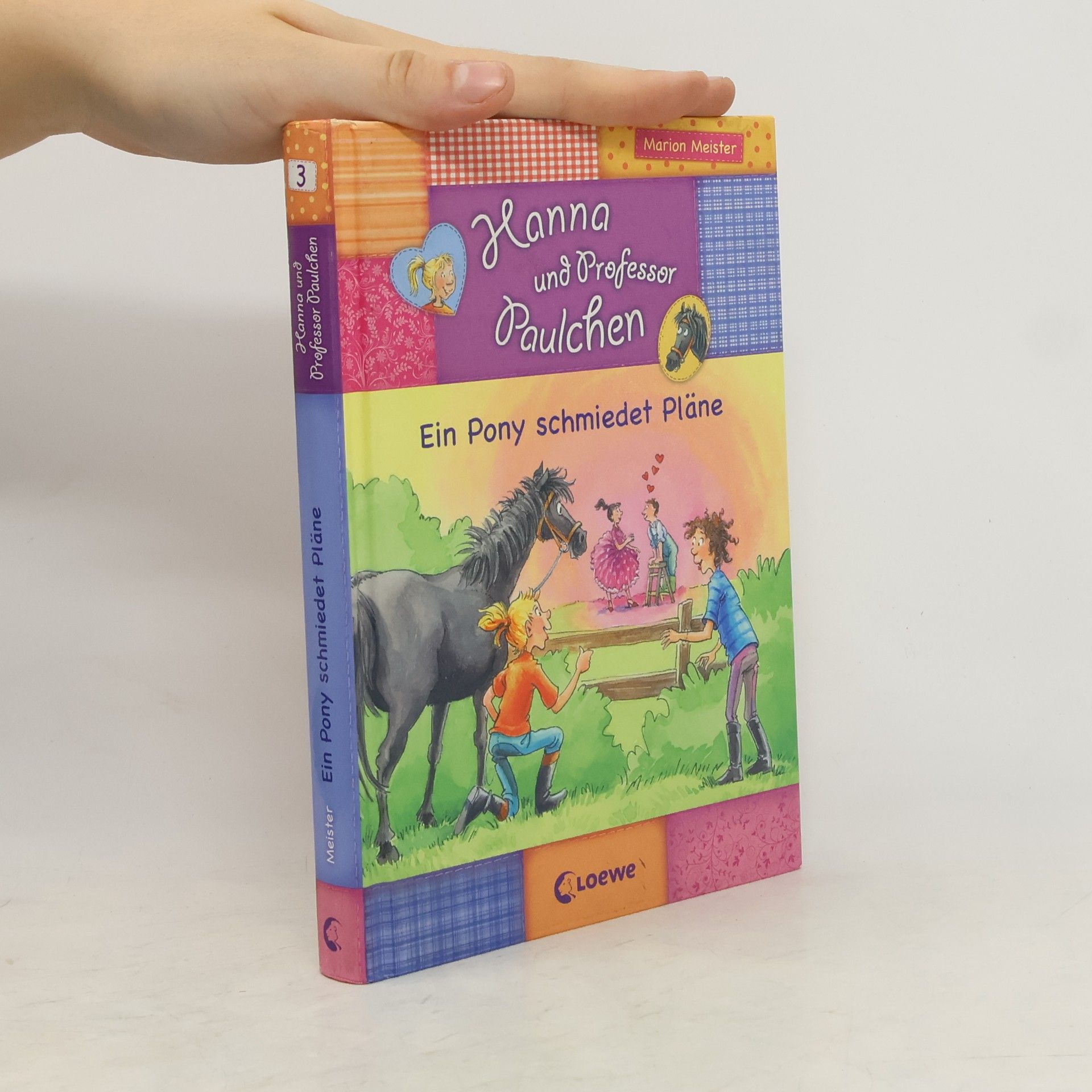 Marion Meister Ein Pony schmiedet Pläne