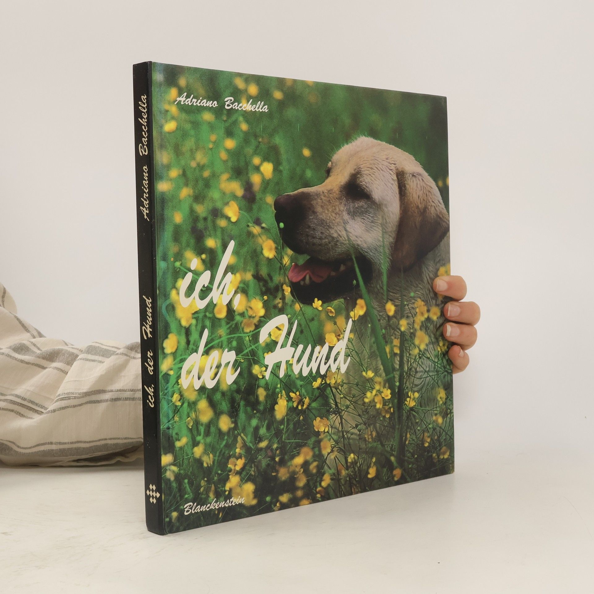 Adriana Bacchella Ich, der Hund