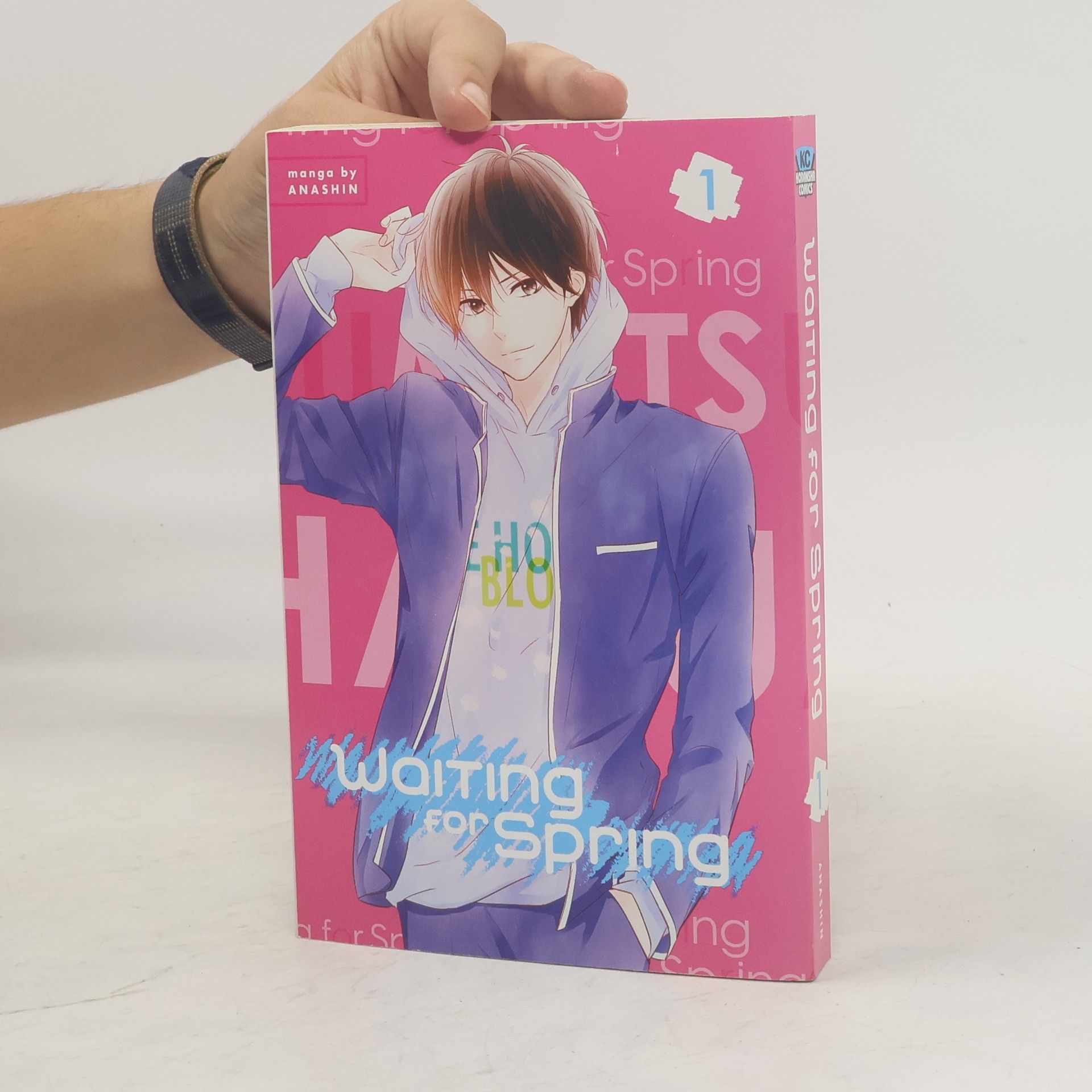 Anashin Waiting for Spring 1