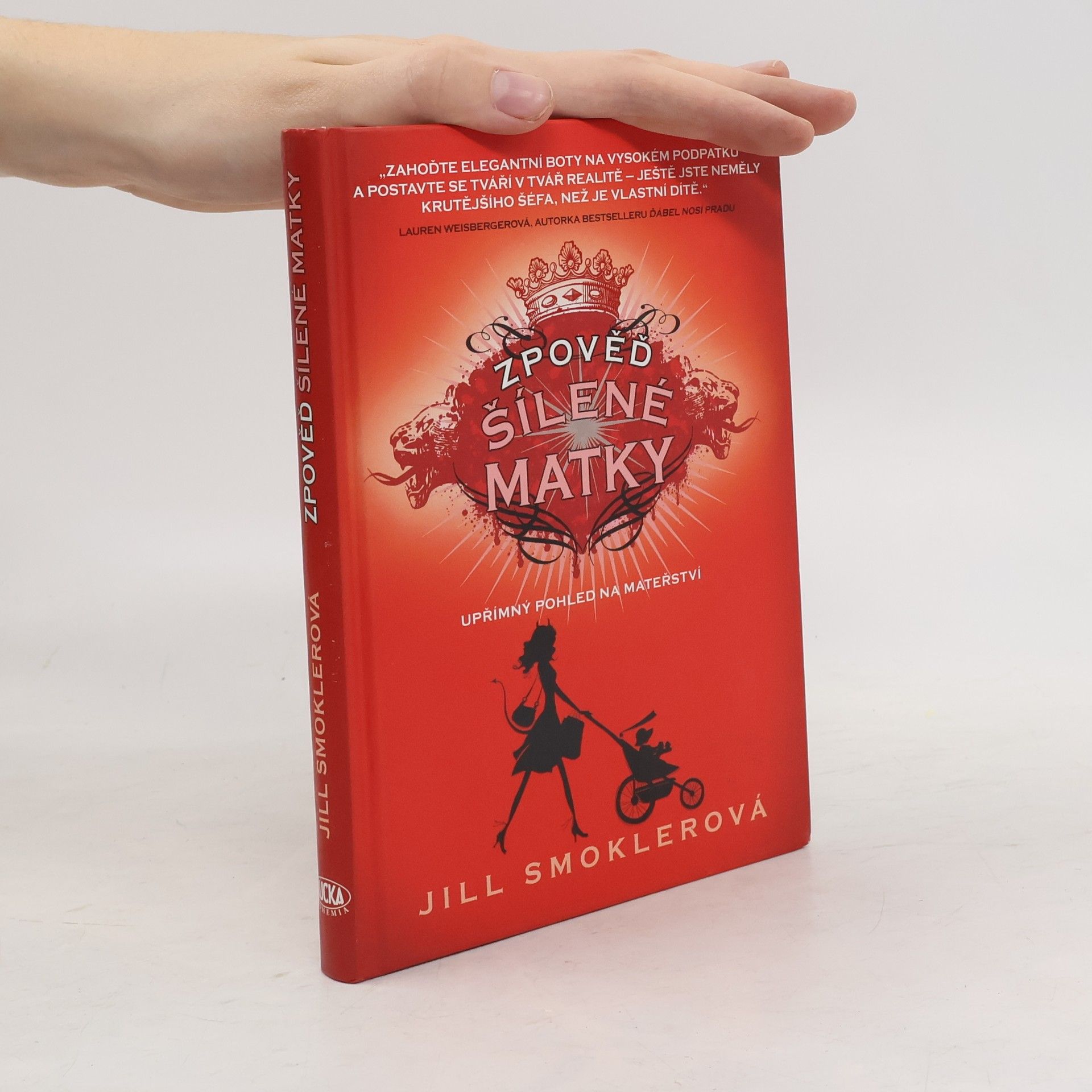 Jill Smokler Zpověď šílené matky. Upřímný pohled na mateřství