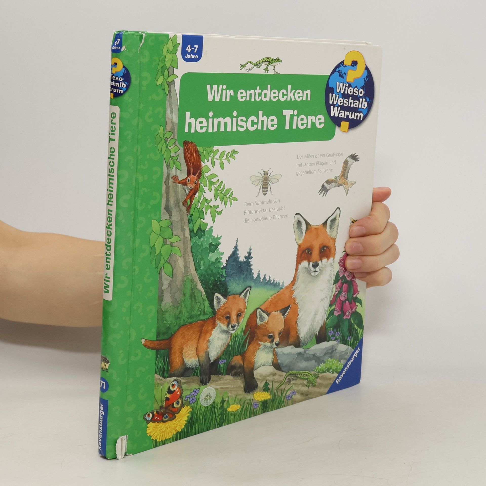 Anne Ebert Wir entdecken heimische Tiere