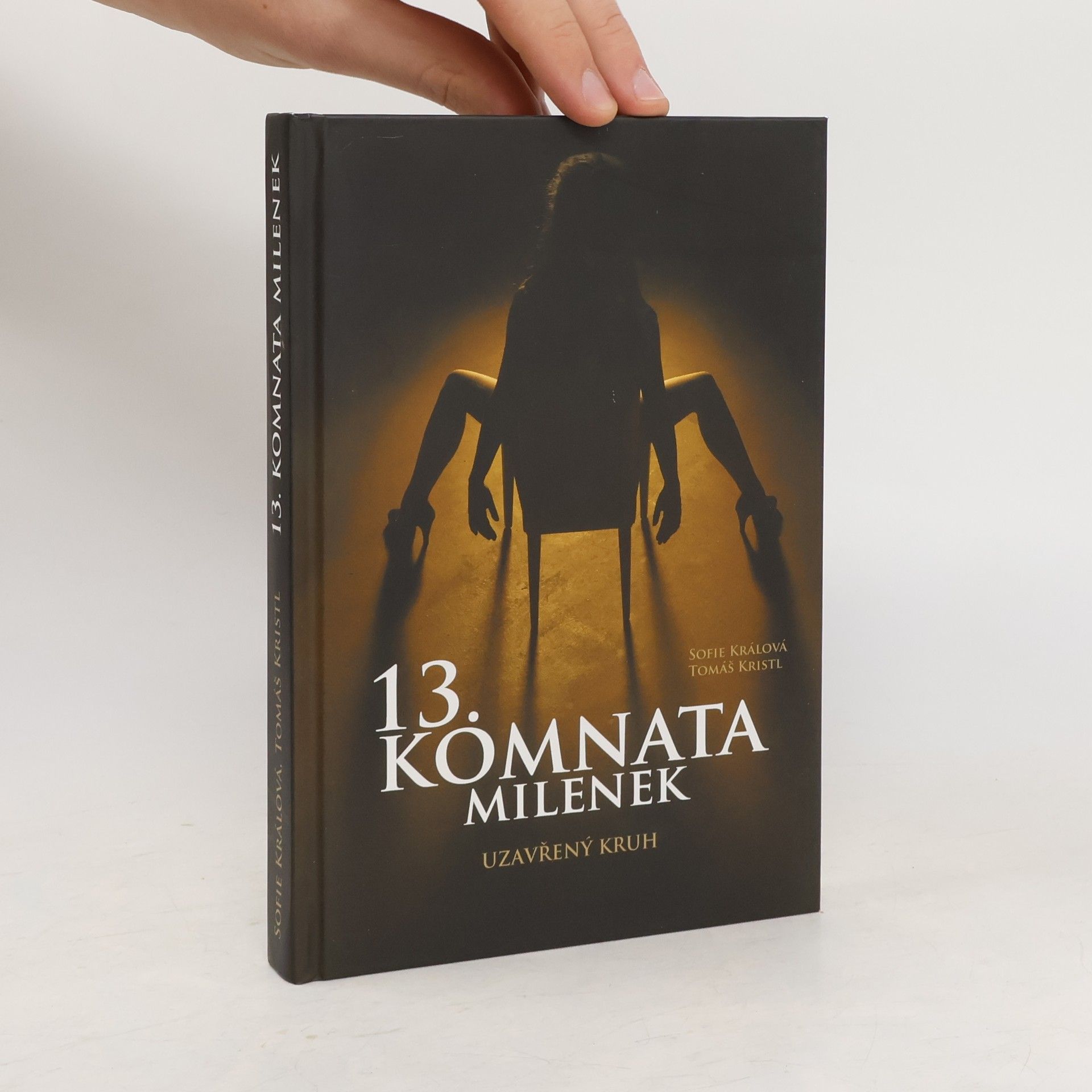 Tomáš Kristl 13. komnata milenek. Uzavřený kruh