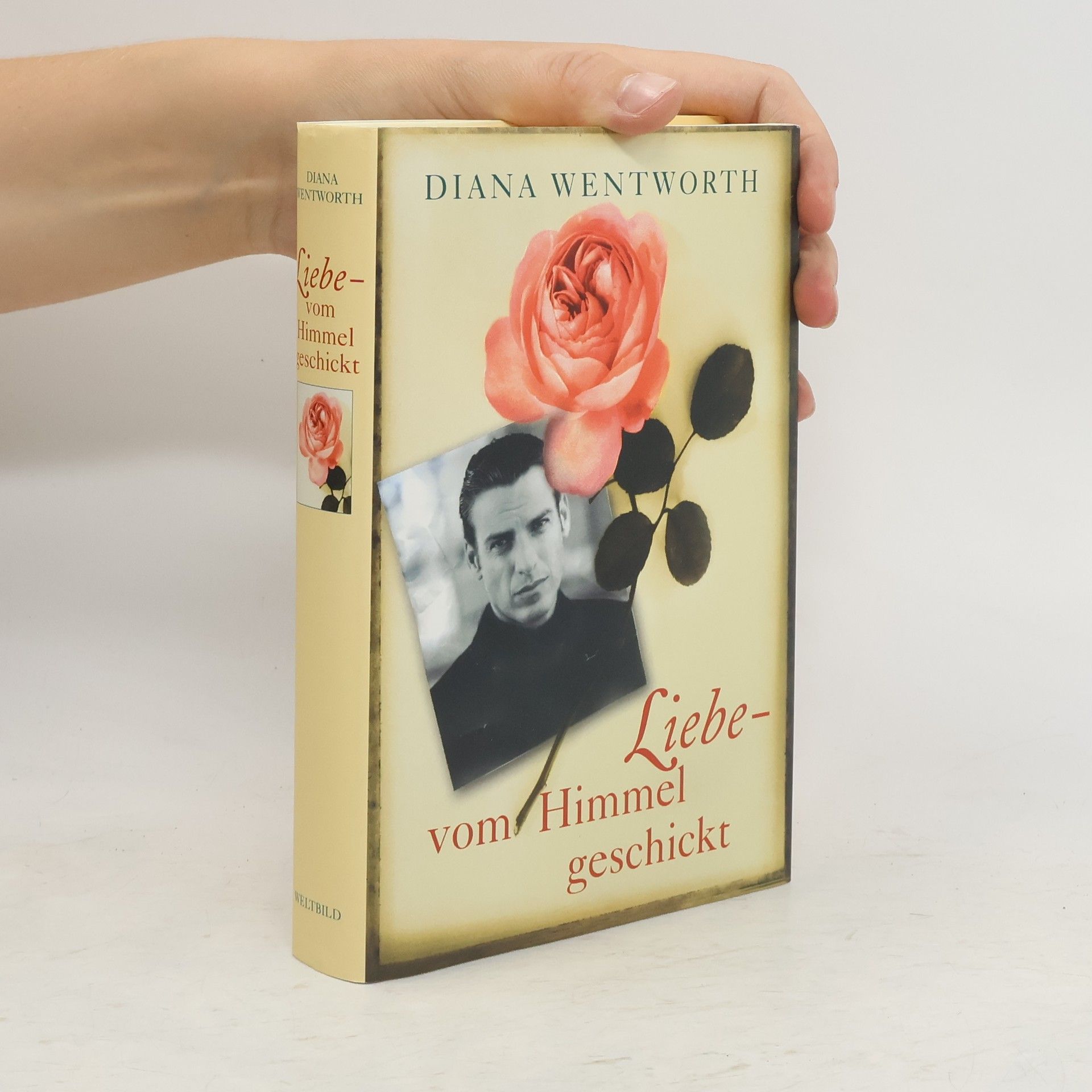 Diana Wentworth Liebe - vom Himmel geschickt