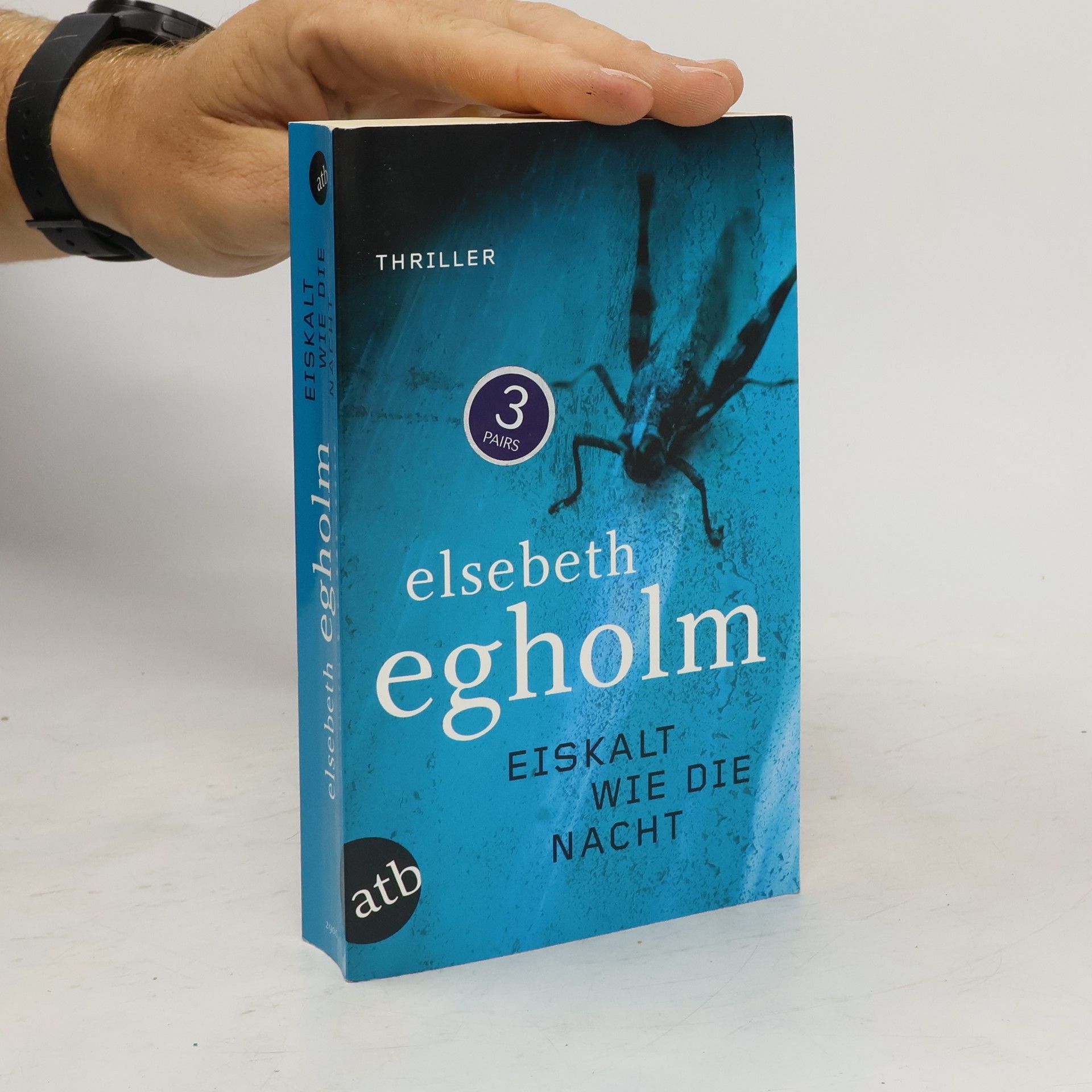 Elsebeth Egholm Eiskalt wie die Nacht