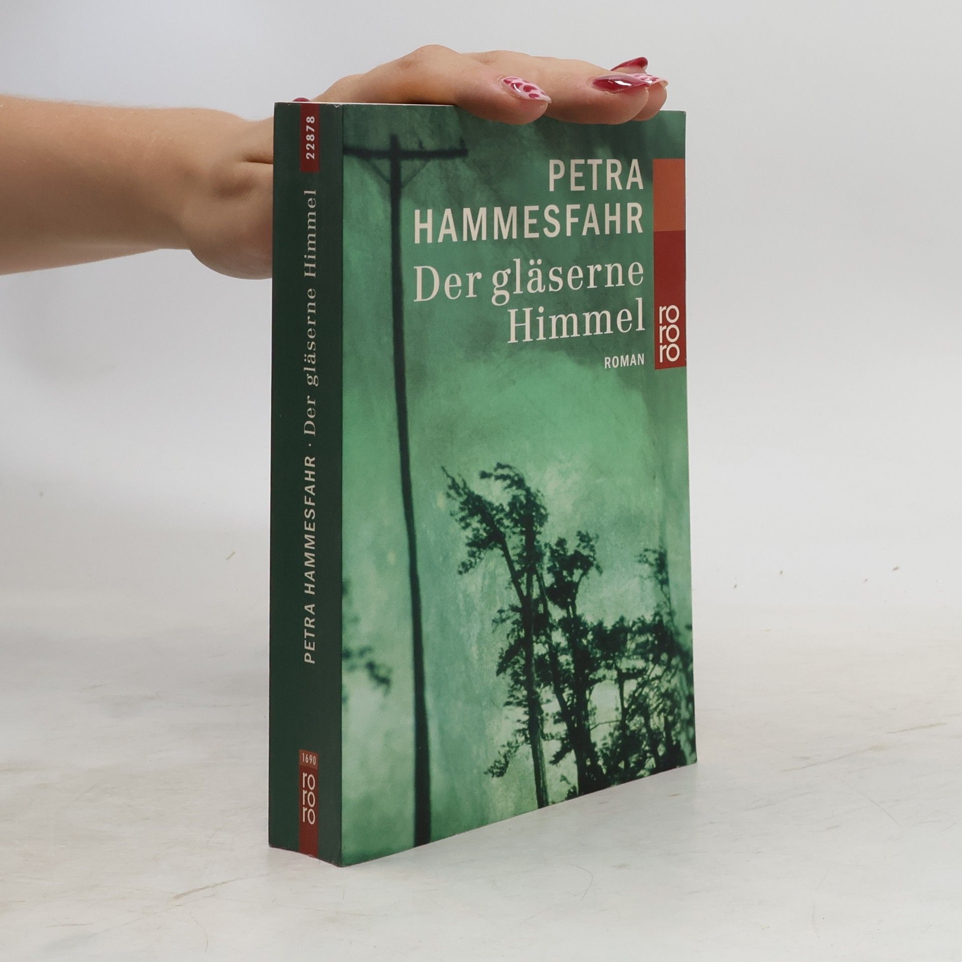 Petra Hammesfahr Der gläserne Himmel