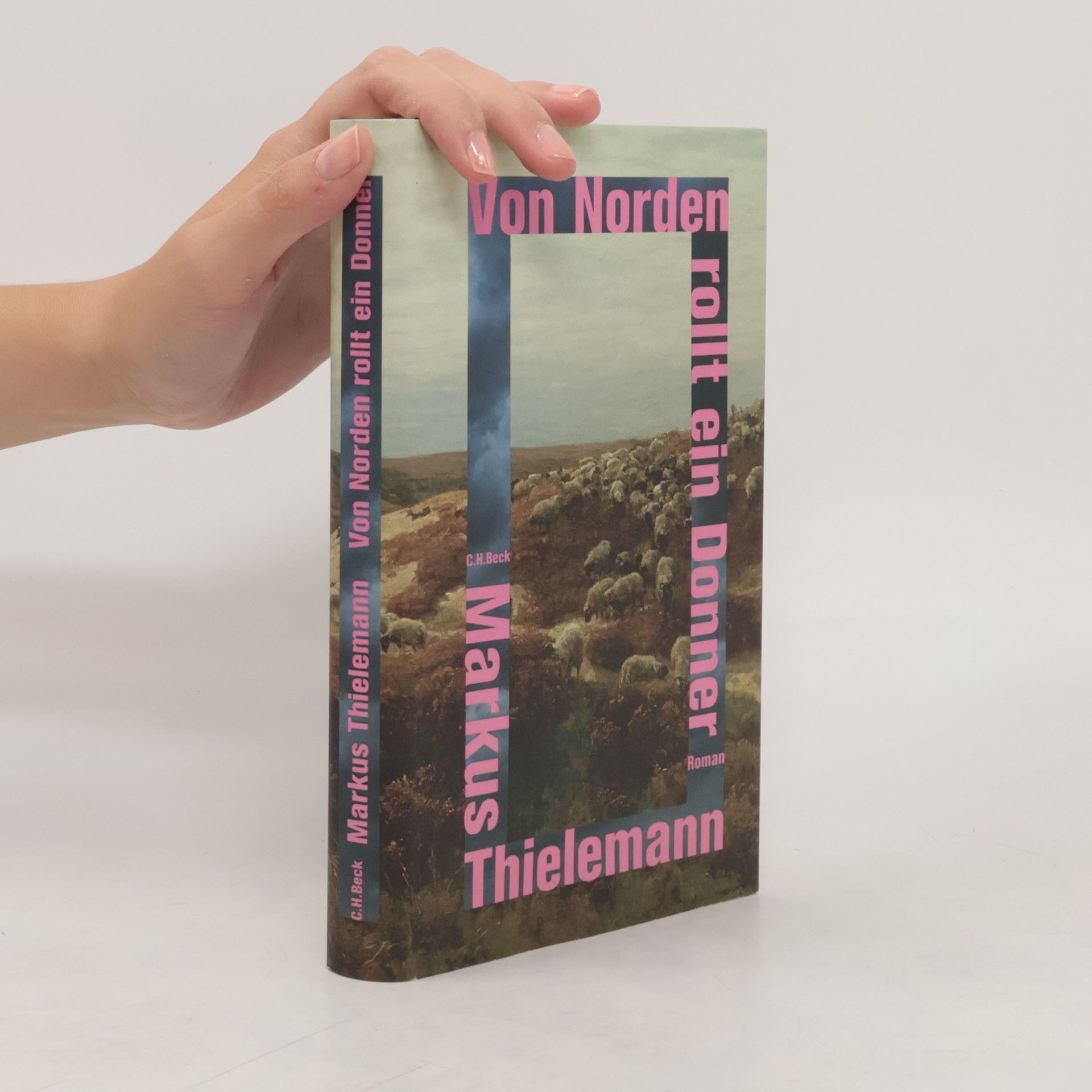 Markus Thielemann Von Norden rollt ein Donner