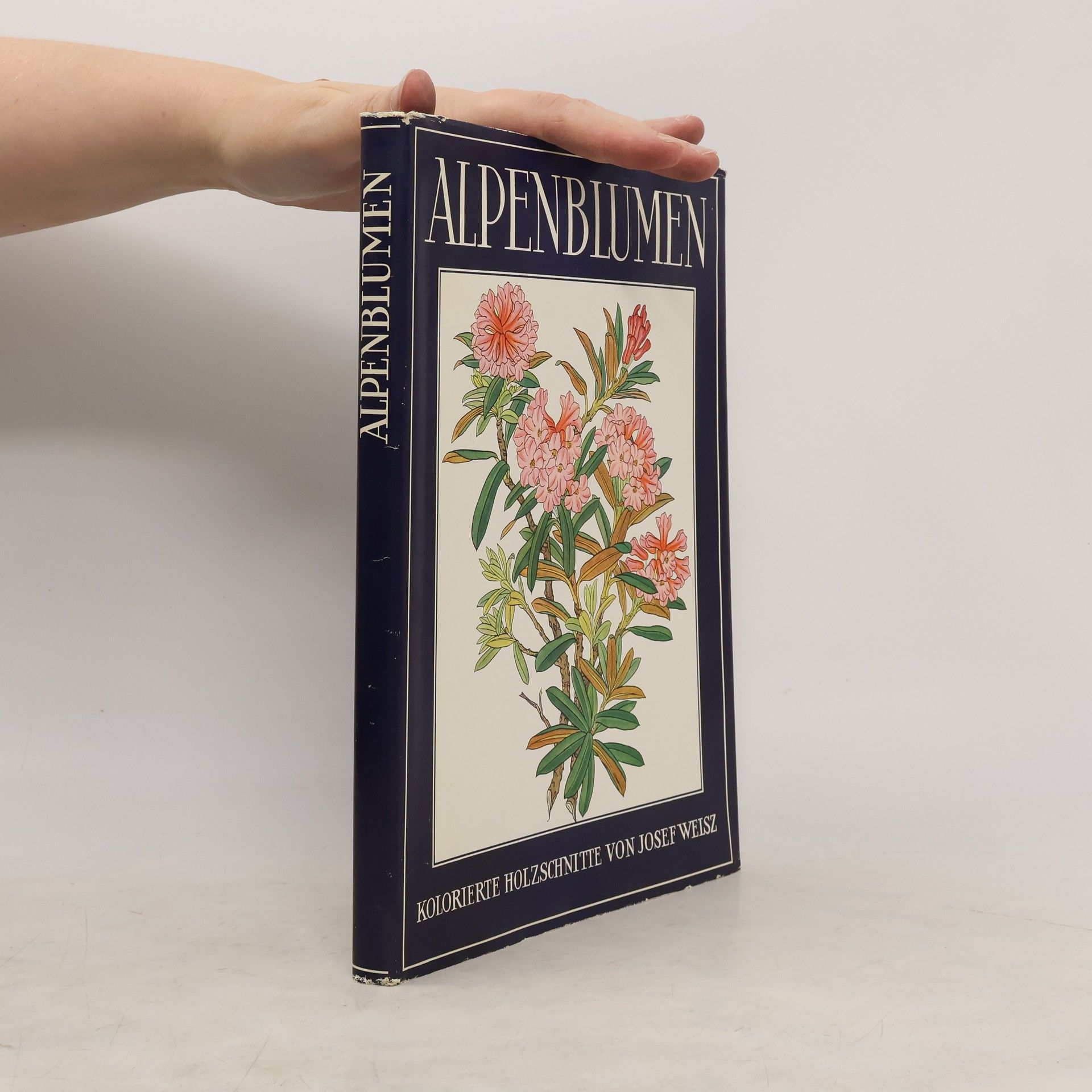 Josef Wiesz Alpenblumen