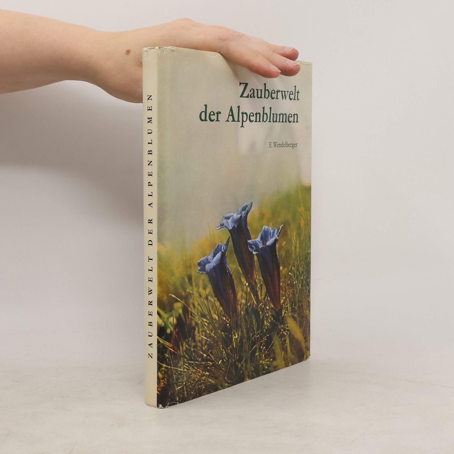 Autorenkollektiv Zauberwelt der Alpenblumen