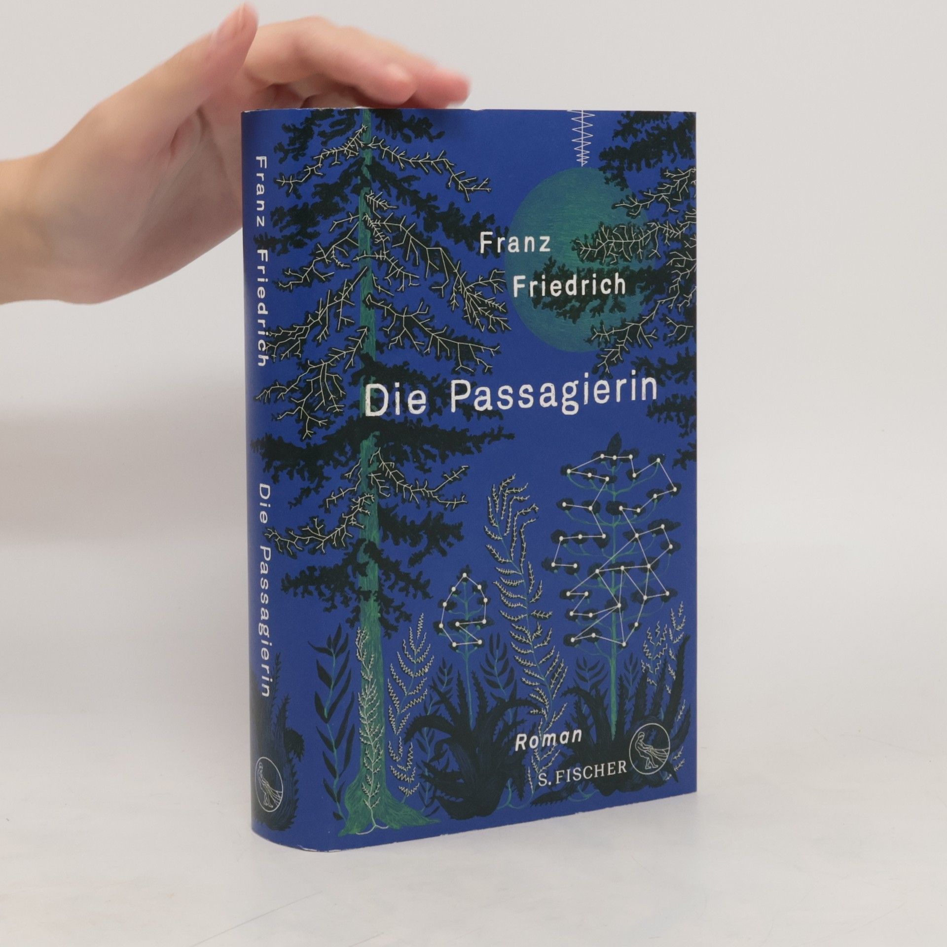 Franz Friedrich Die Passagierin