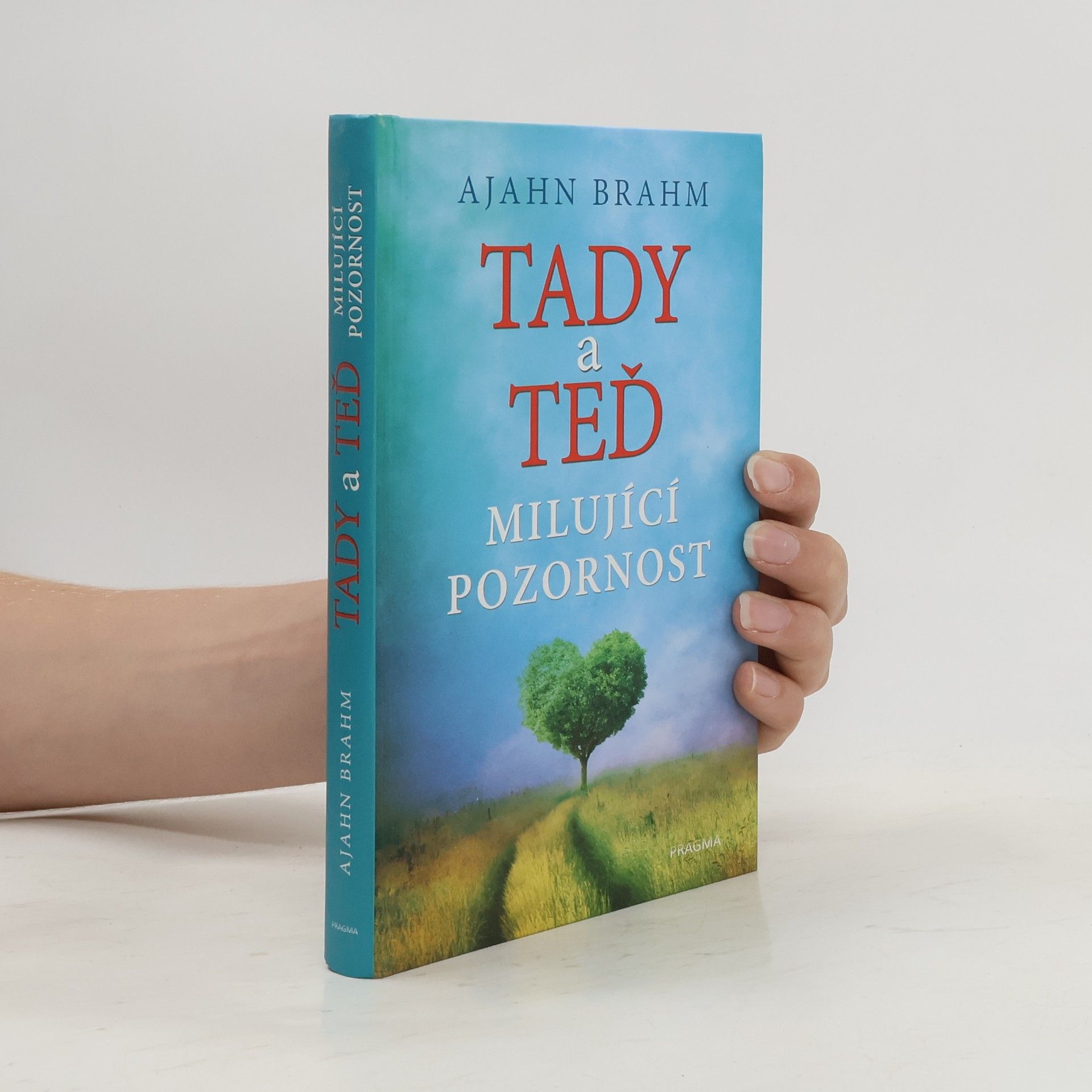 Karla Korteová Tady a teď. Milující pozornost