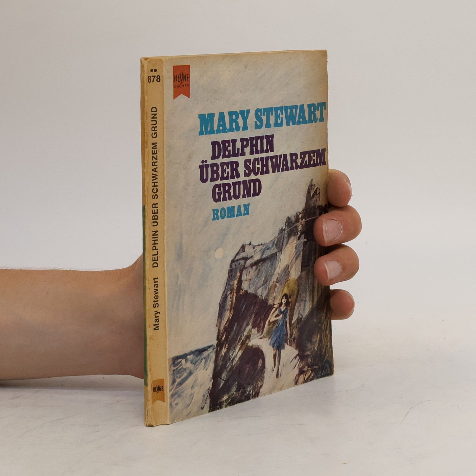 Mary Florence Elinor Rainbow Delphin über schwarzem Grund