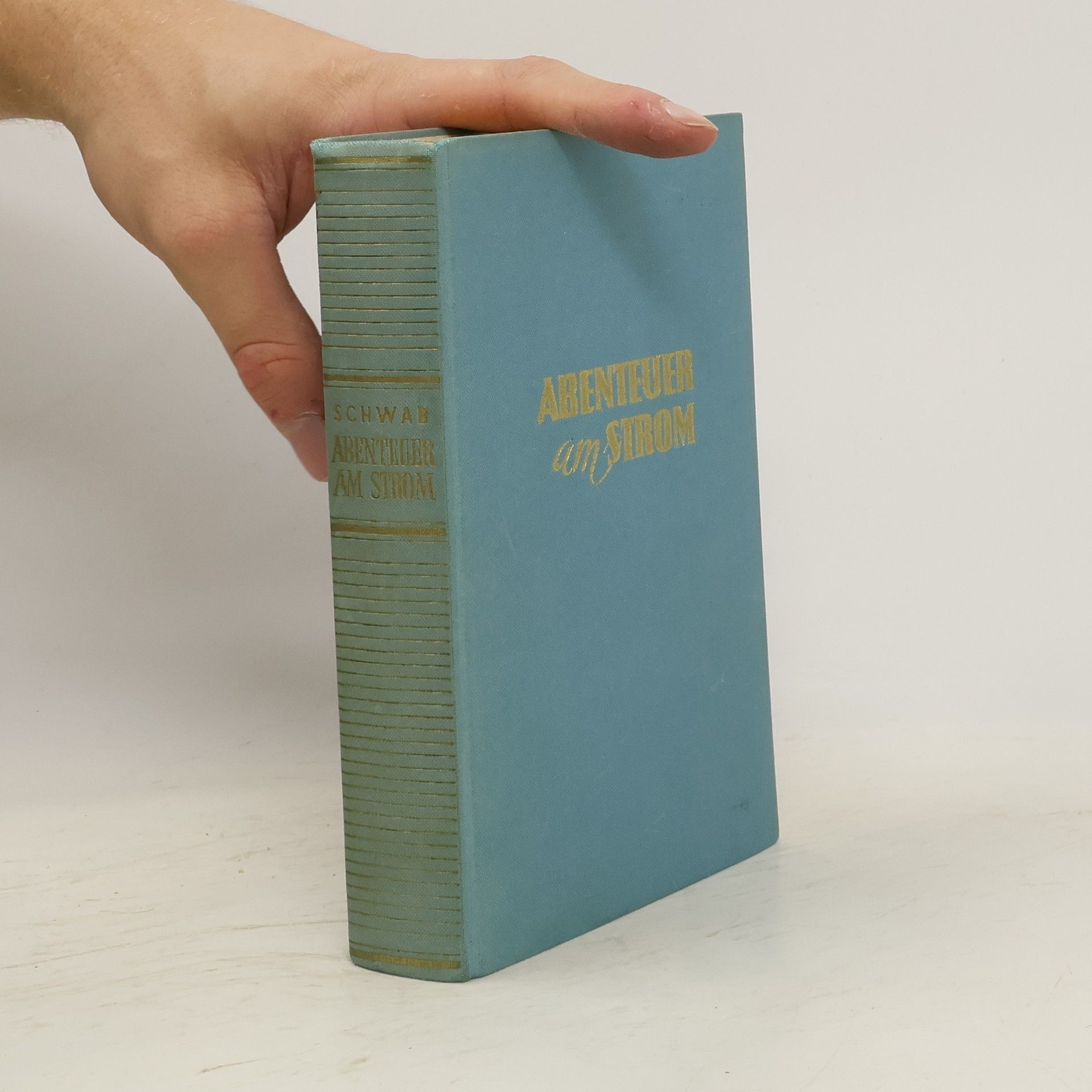 Collectif d'auteurs Abenteuer am Strom
