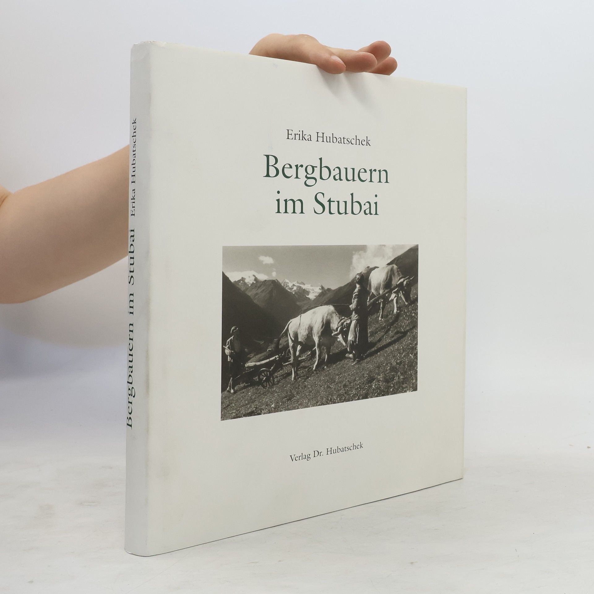 Erika Hubatschek Bergbauern im Stubai