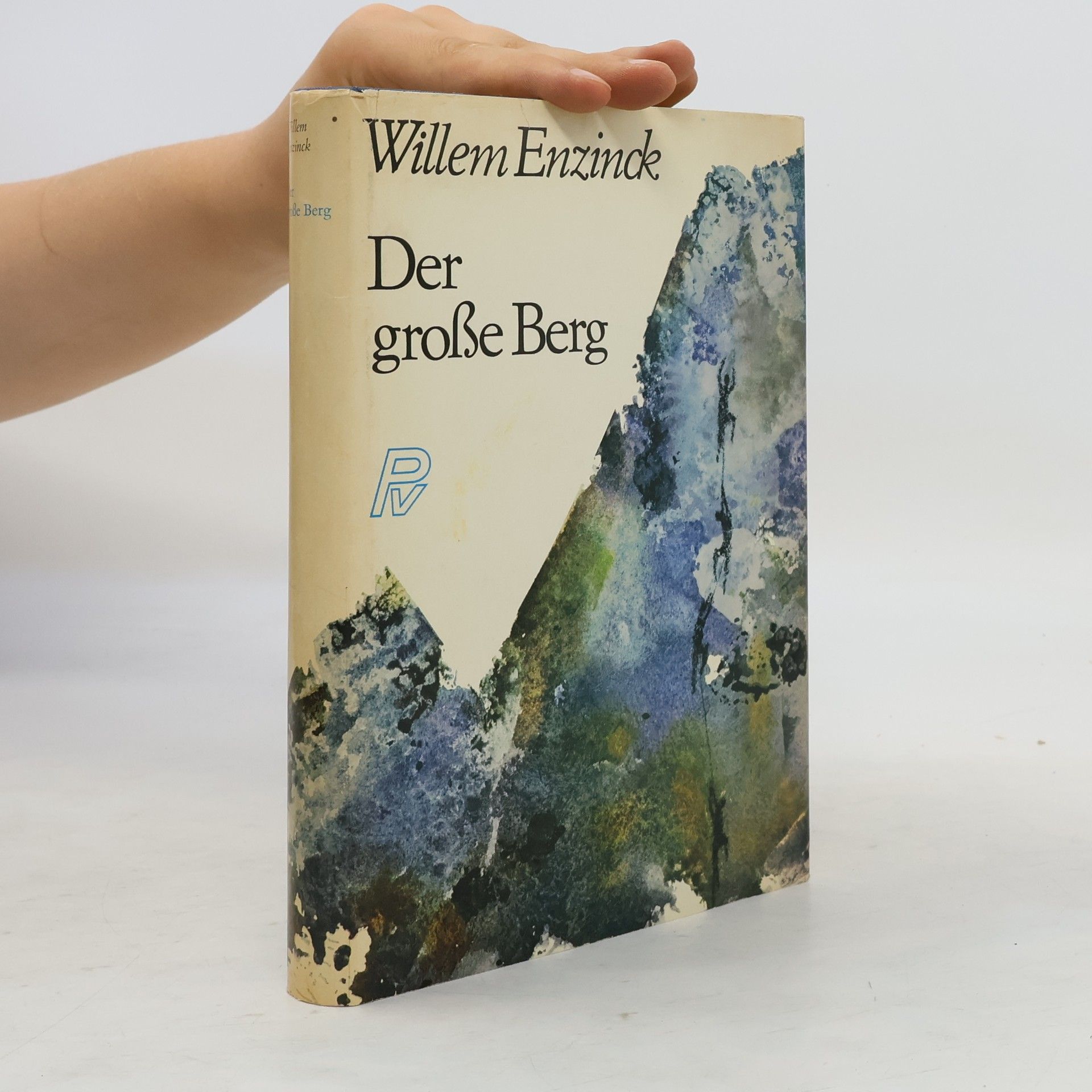 Willem Enzinck Der große Berg