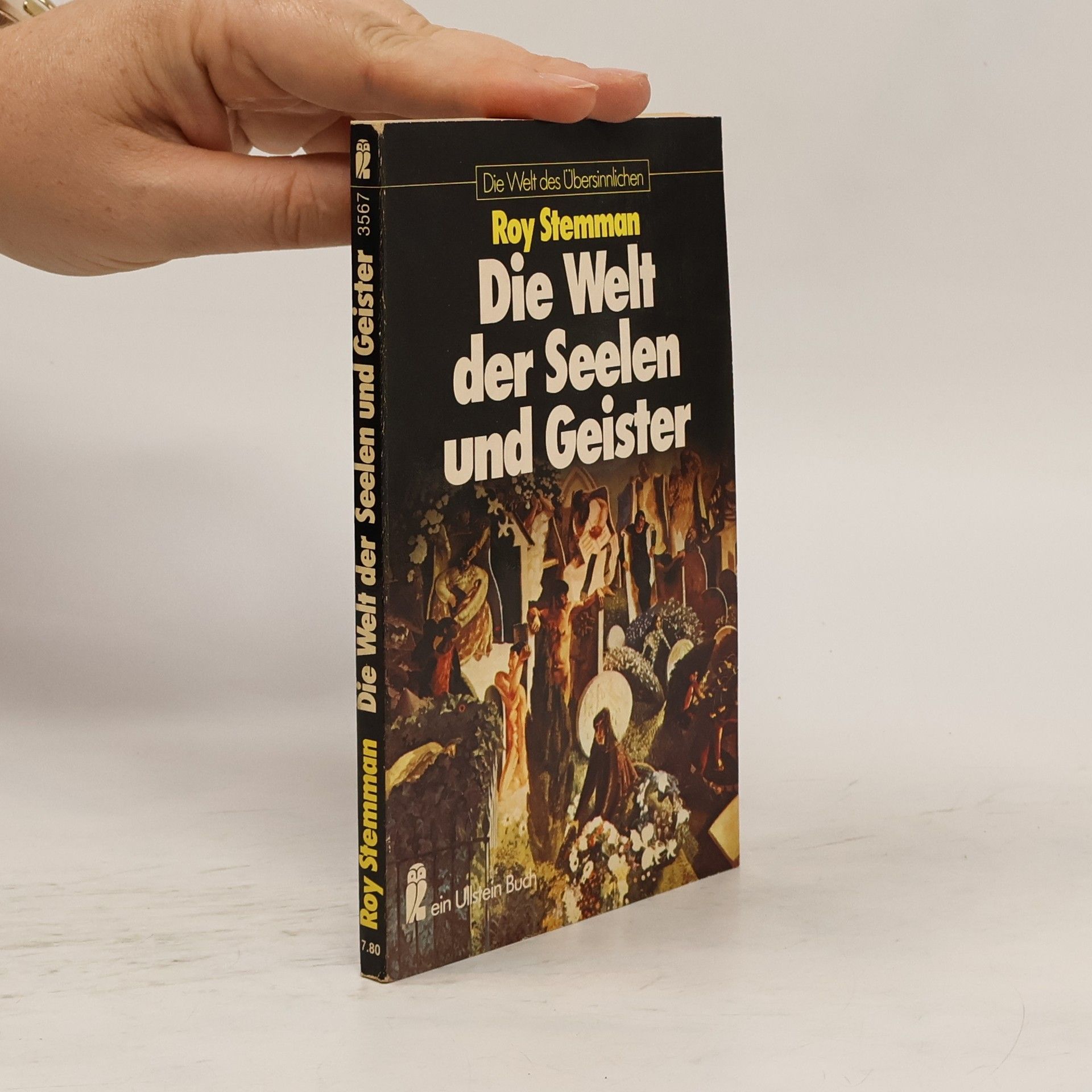Roy Stemman Die Welt der Seelen und Geister