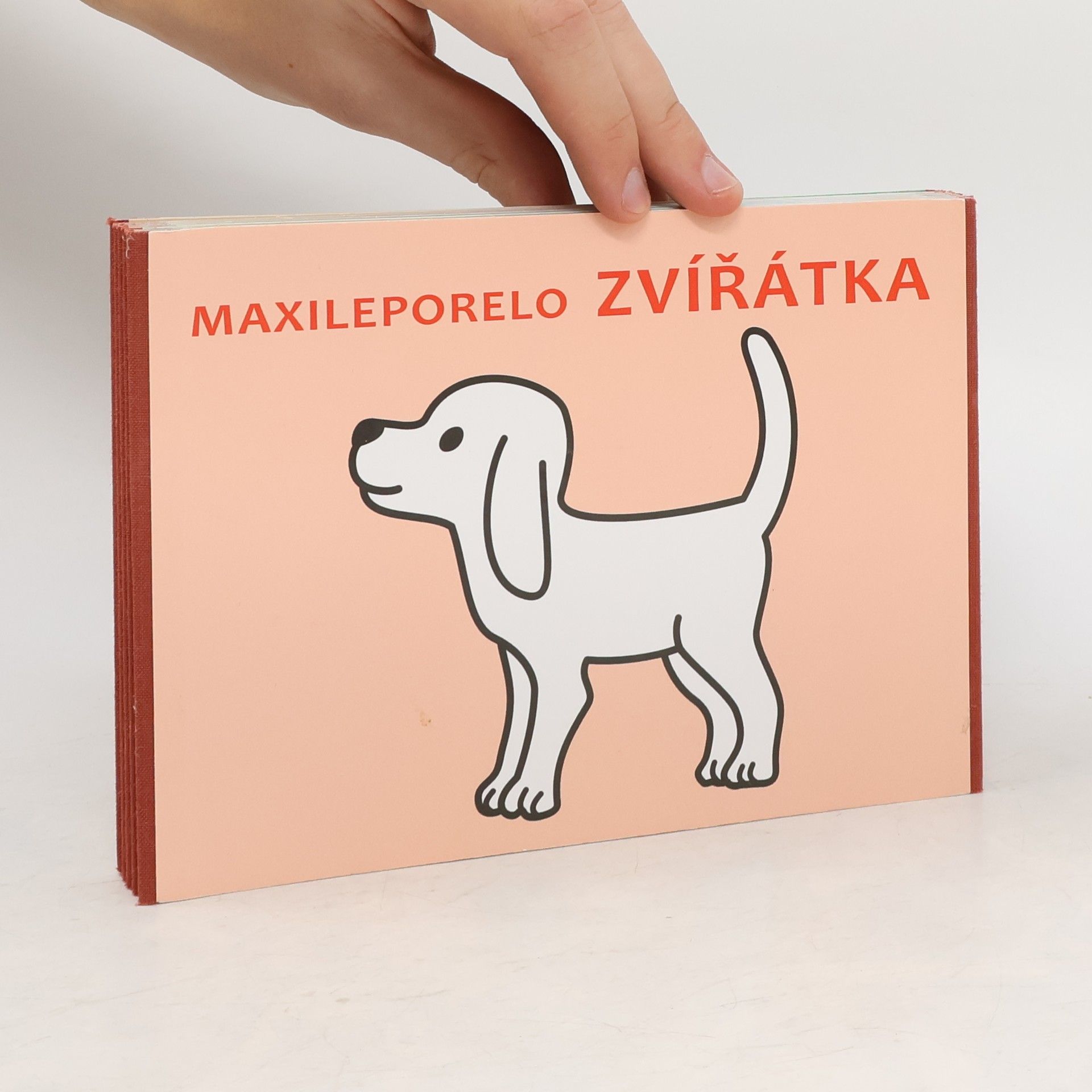 Collectif d'auteurs Maxileporelo Zvířátka