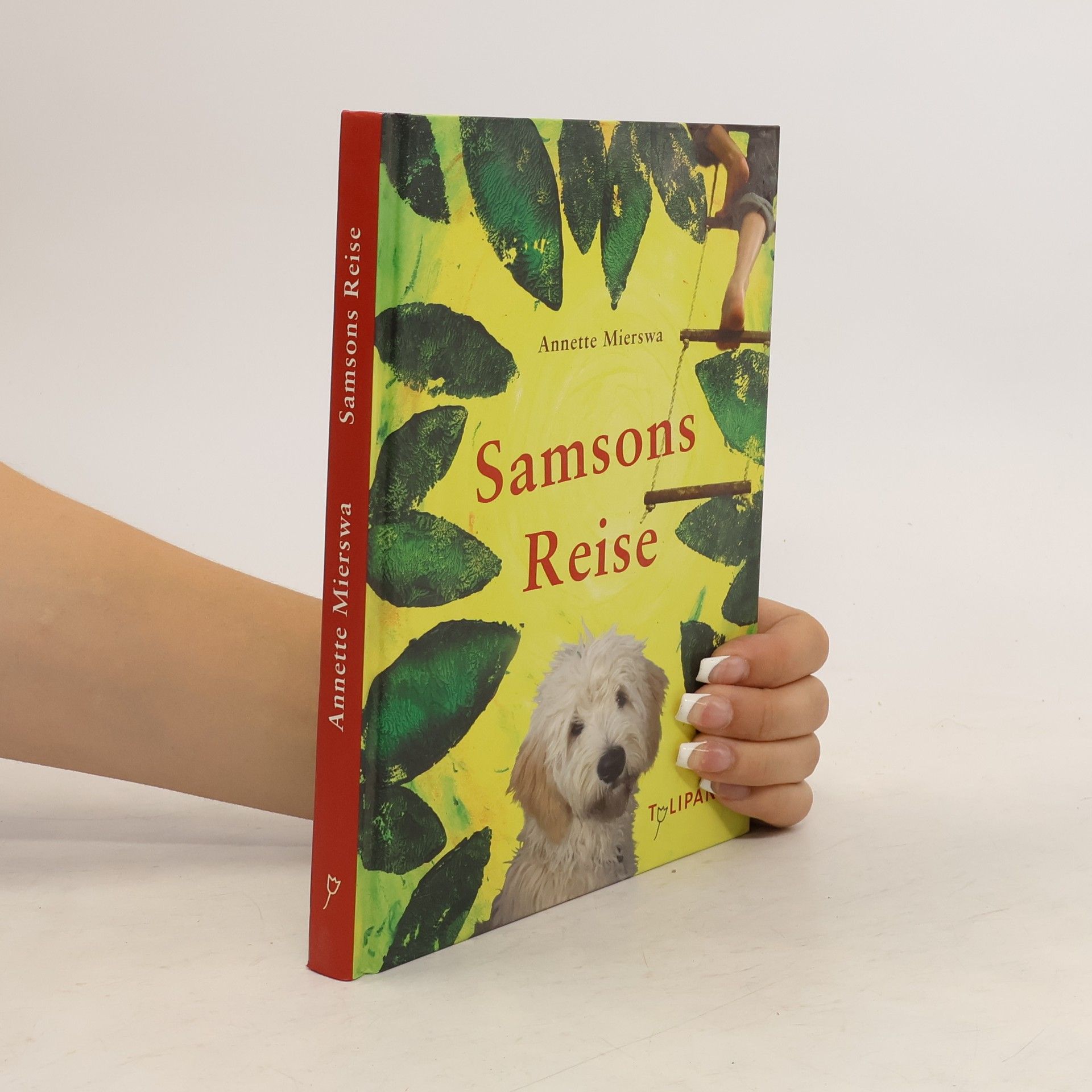 Annette Mierswa Samsons Reise