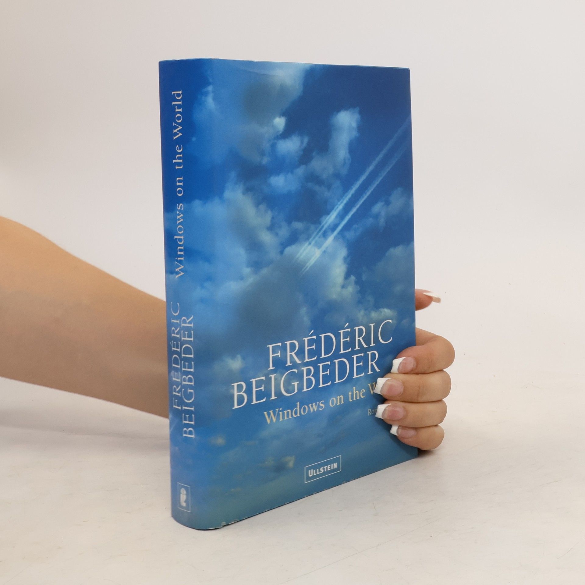Frédéric Beigbeder Windows on the World