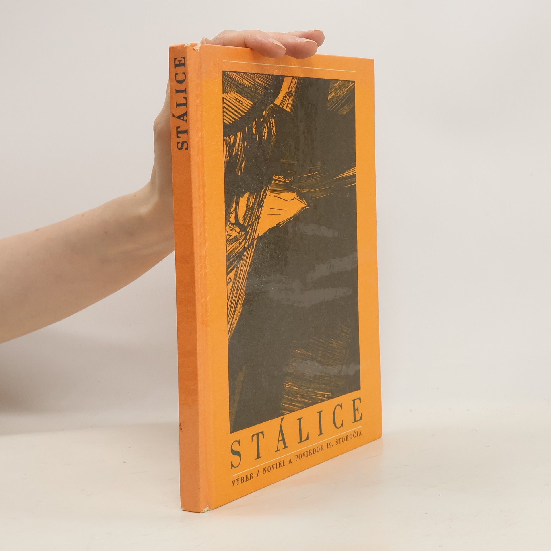 Collectif d'auteurs Stálice. Výber z noviel a poviedok 19.storočia