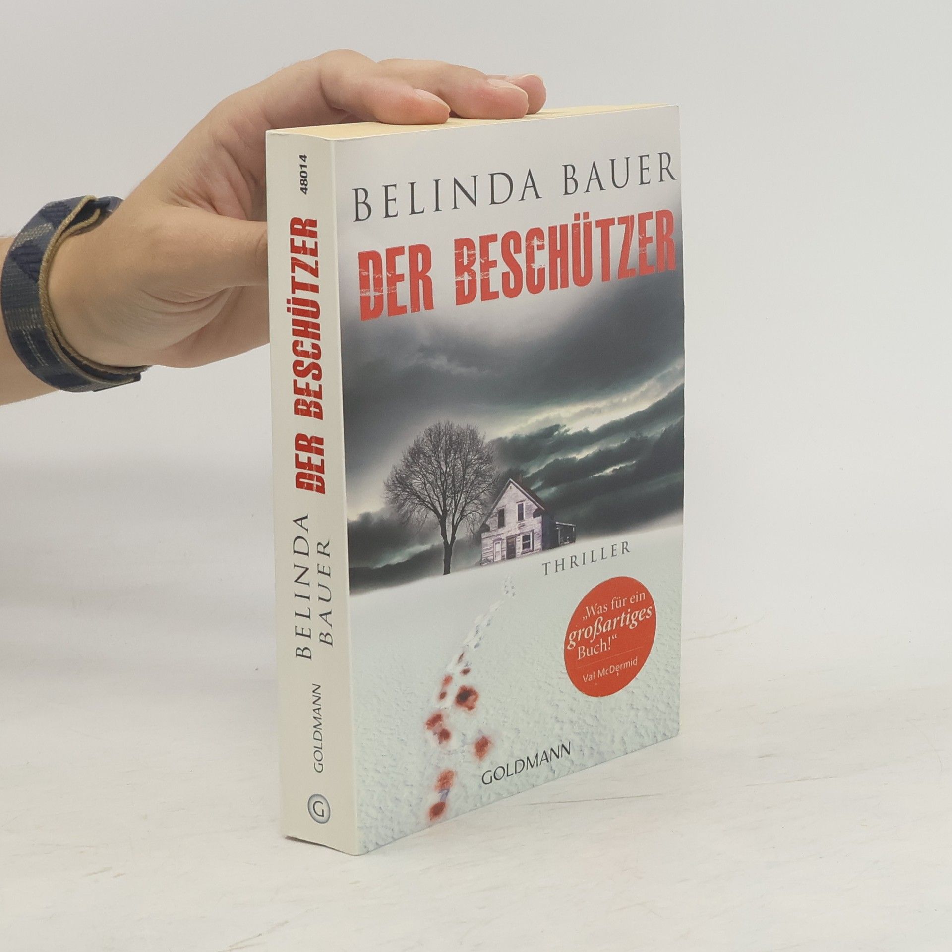 Belinda Bauer Der Beschützer