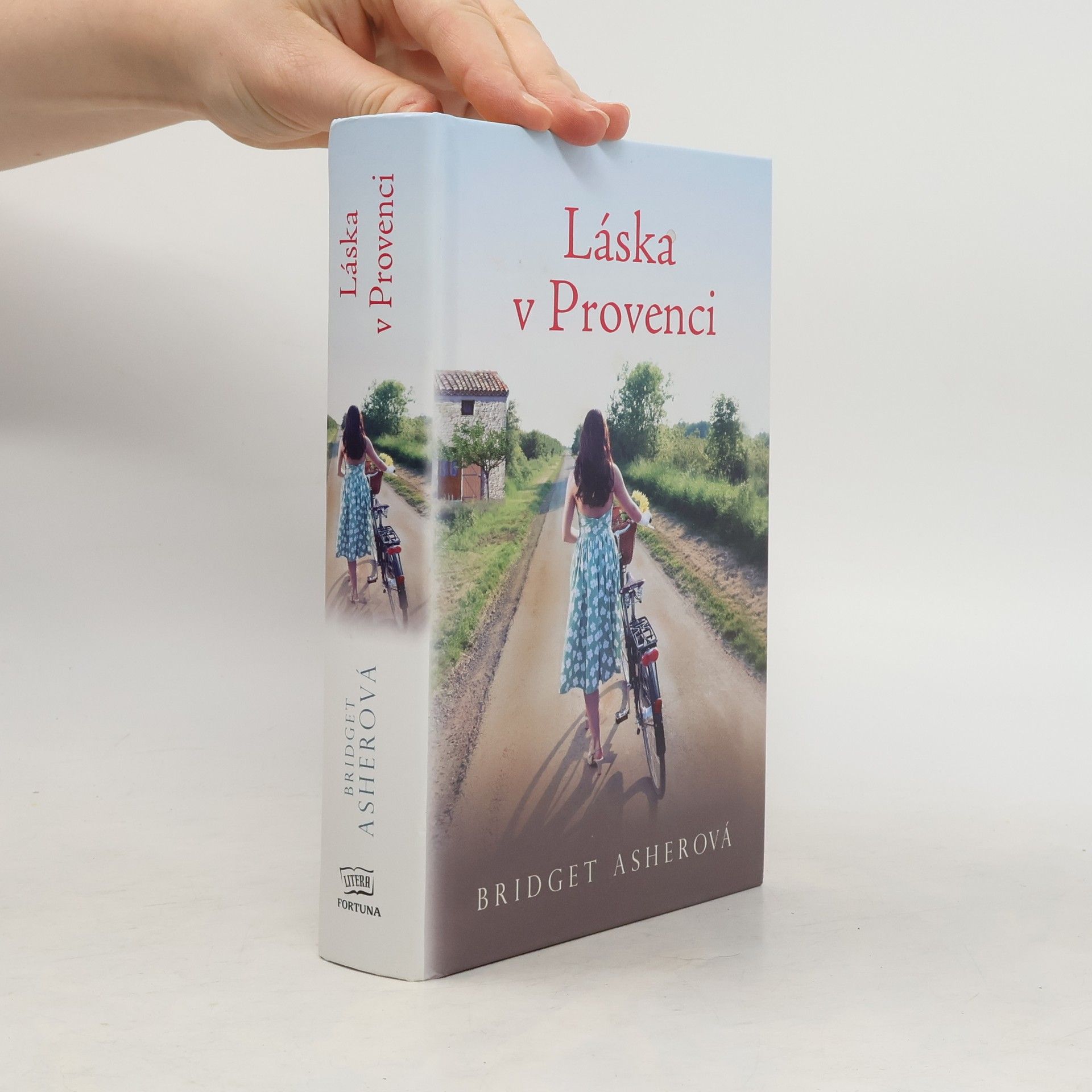 Bridget Asher Láska v Provenci