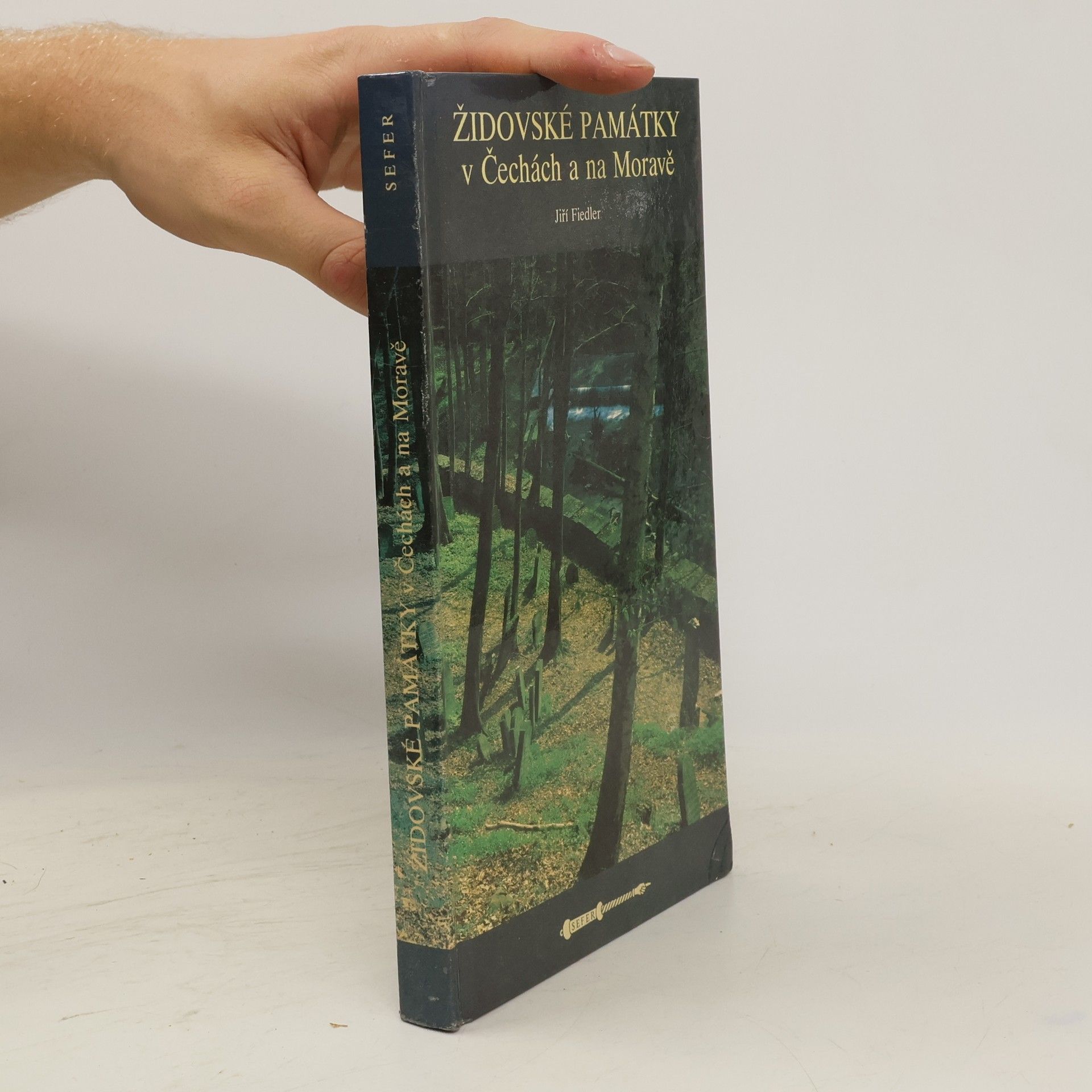 Arno Pařík Židovské památky v Čechách a na Moravě