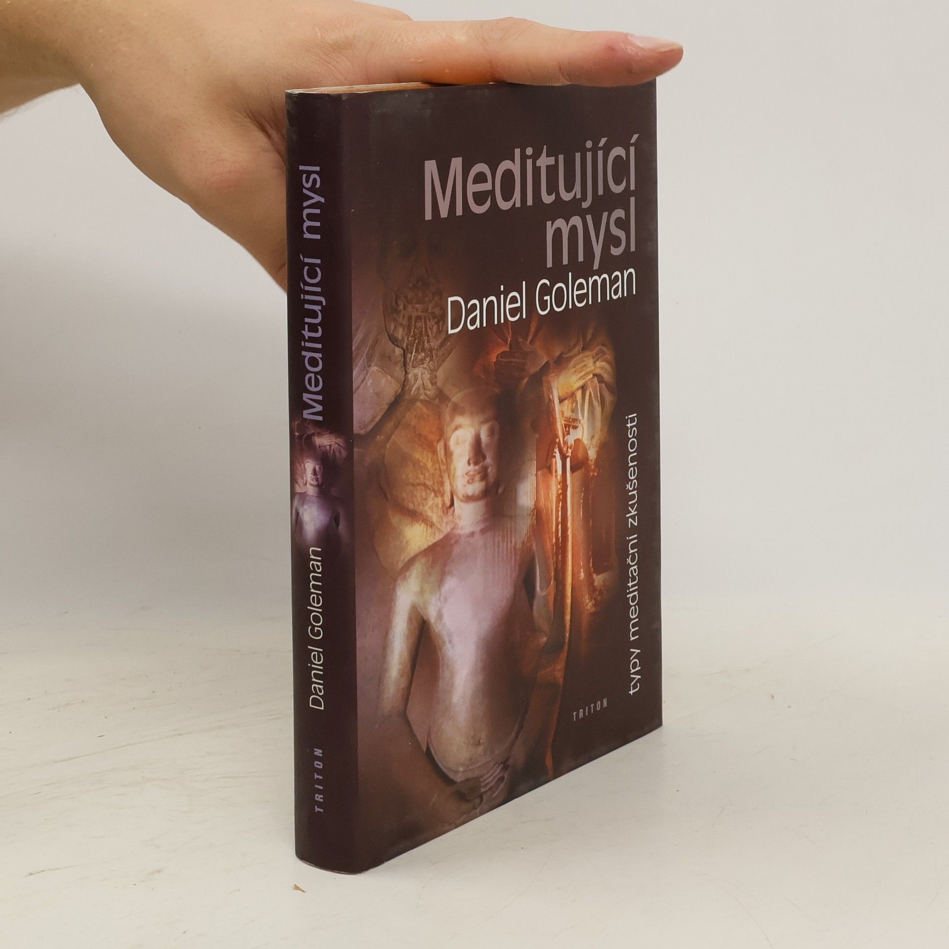 Daniel Goleman Meditující mysl : typy meditační zkušenosti
