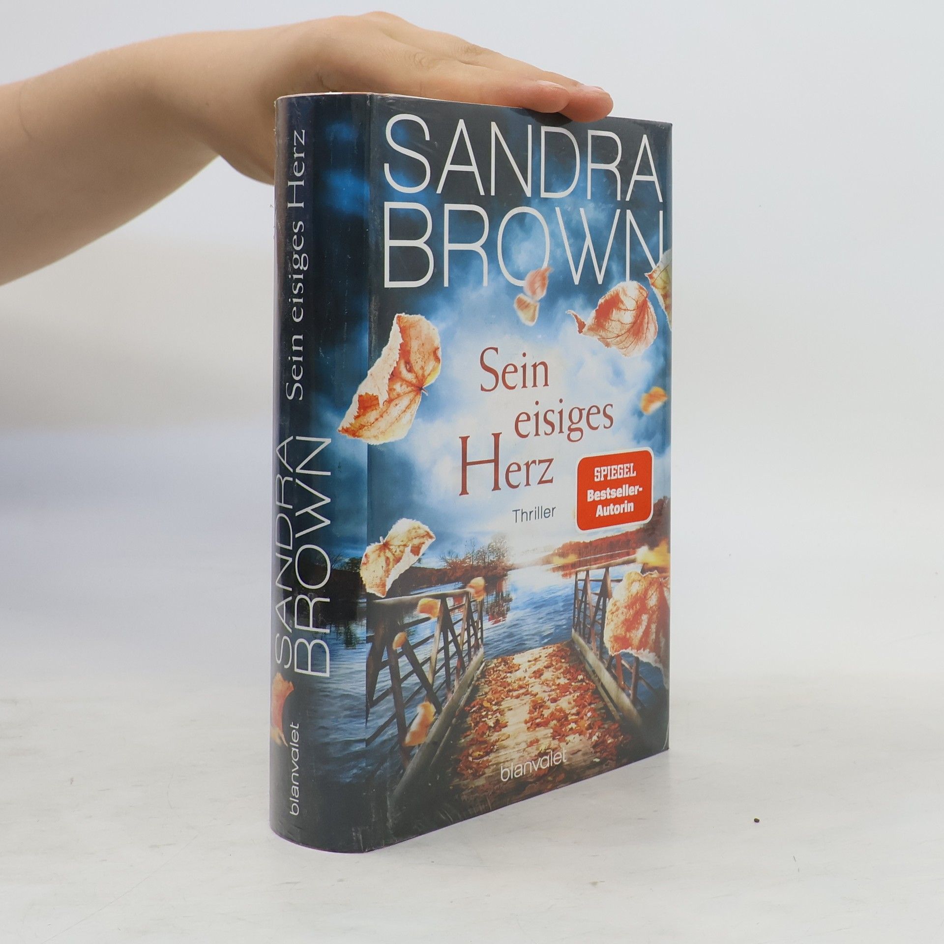 Sandra Brown Sein eisiges Herz