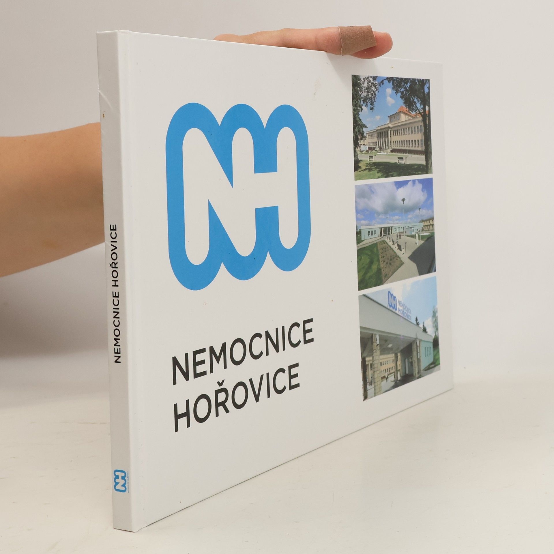 Kolektív autorov Nemocnice Hořovice