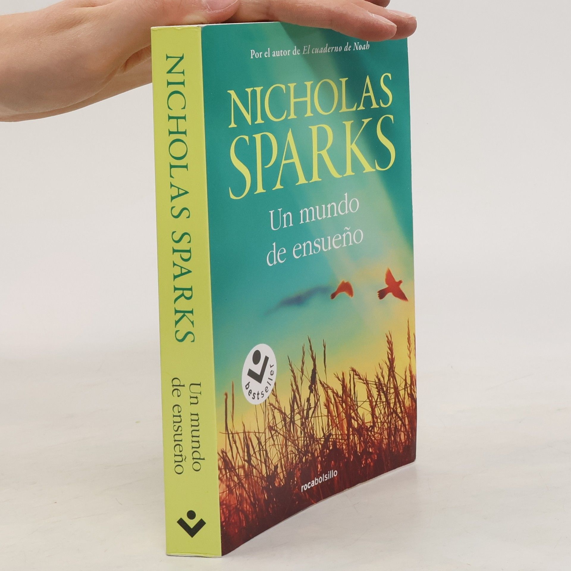 Nicholas Sparks Un mundo de ensueño