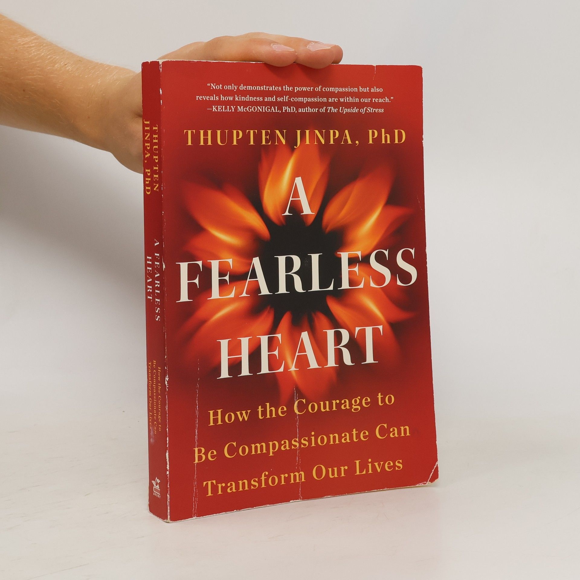 Thupten Jinpa A Fearless Heart