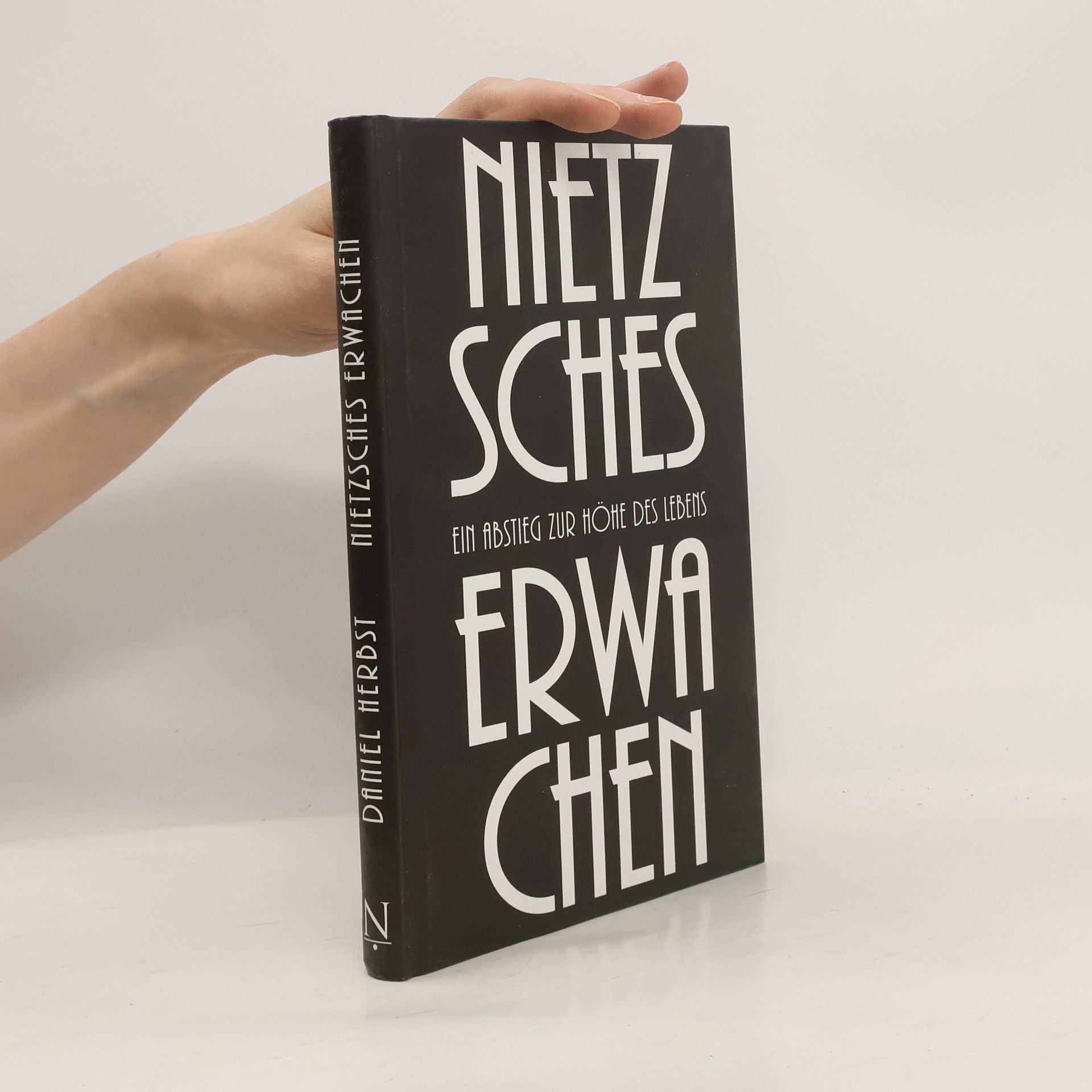 Daniel Herbst Nietzsches Erwachen